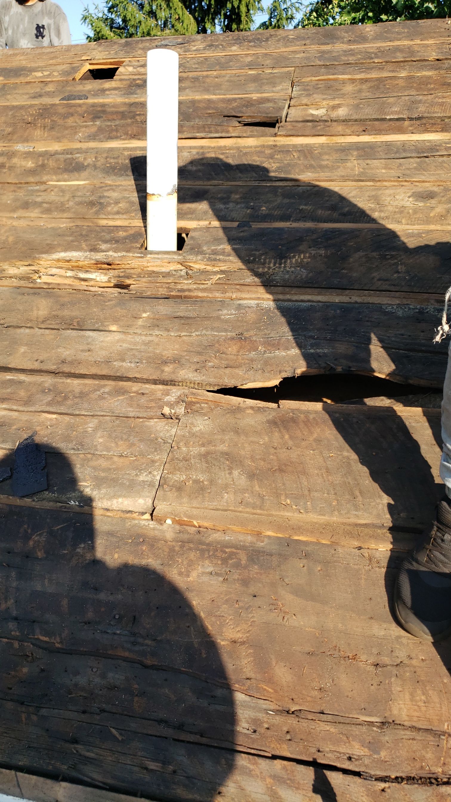 ATLAS PINNACLE COLOR: HEARTHSTONE DRIP EDGE: WHITE by Eagle Eye Roofing