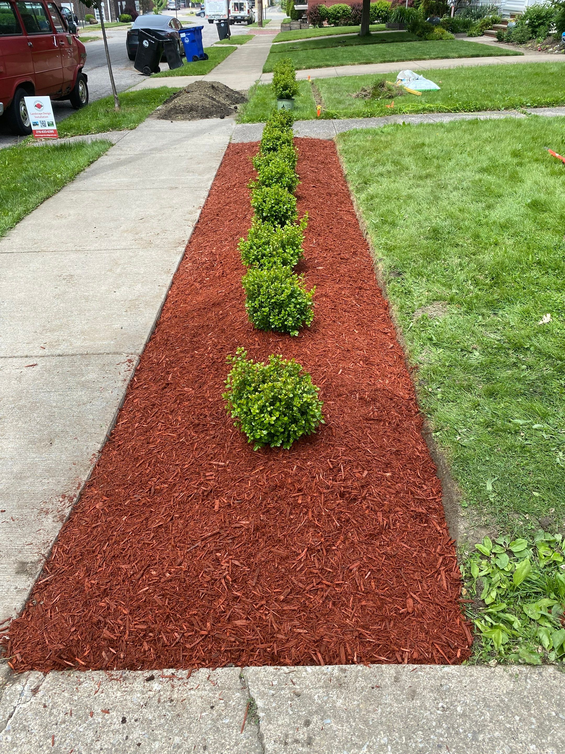 Christmas Hedge Install by Elm Rose Gardens