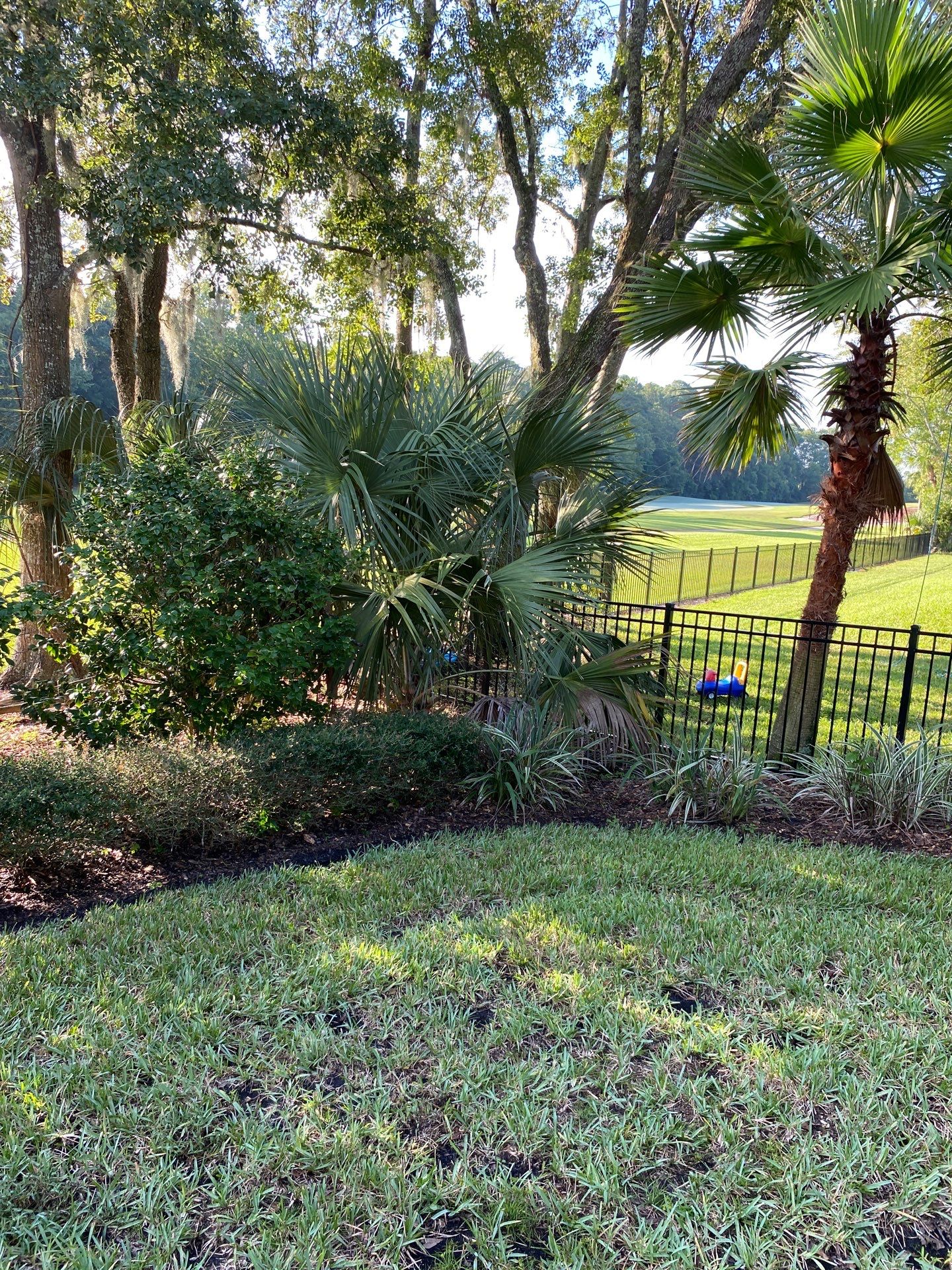 Deerwood Residence | Palm Tree Trimming by ProGreen Services