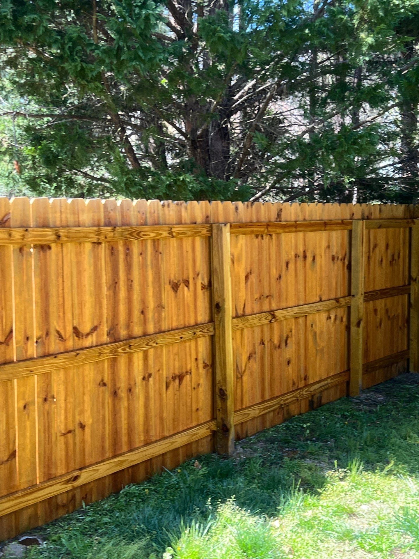 Fence using Wood Sealant by DuraSeal
