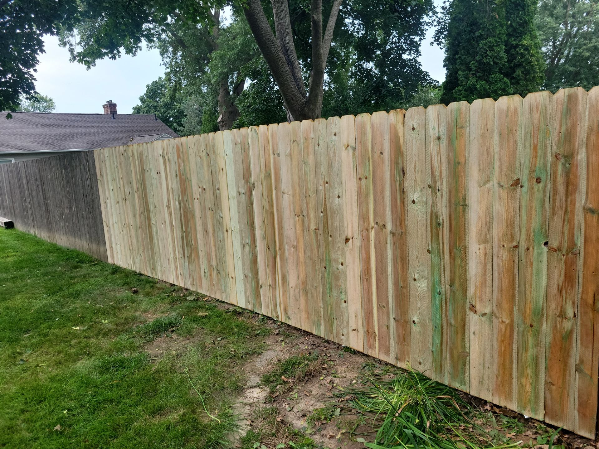 Pressure-Treated Wood Privacy Fence Replacement in Waterloo by Perfect Picket Fence and Stain