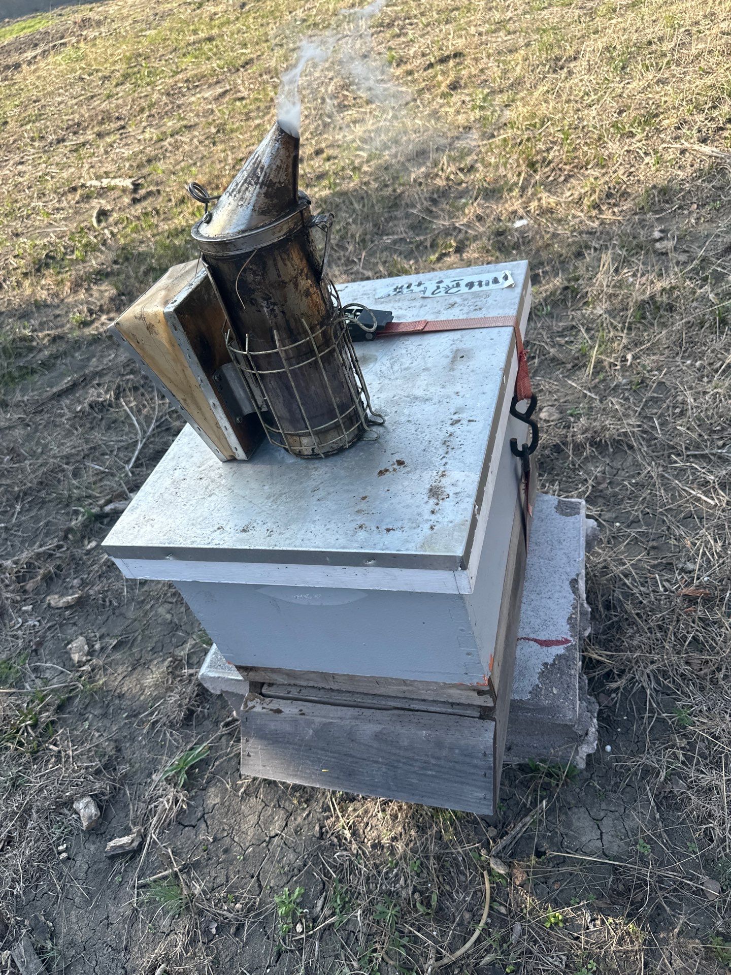 Rockwall County Ag. Exemption by Rockwall Honey Bee Company