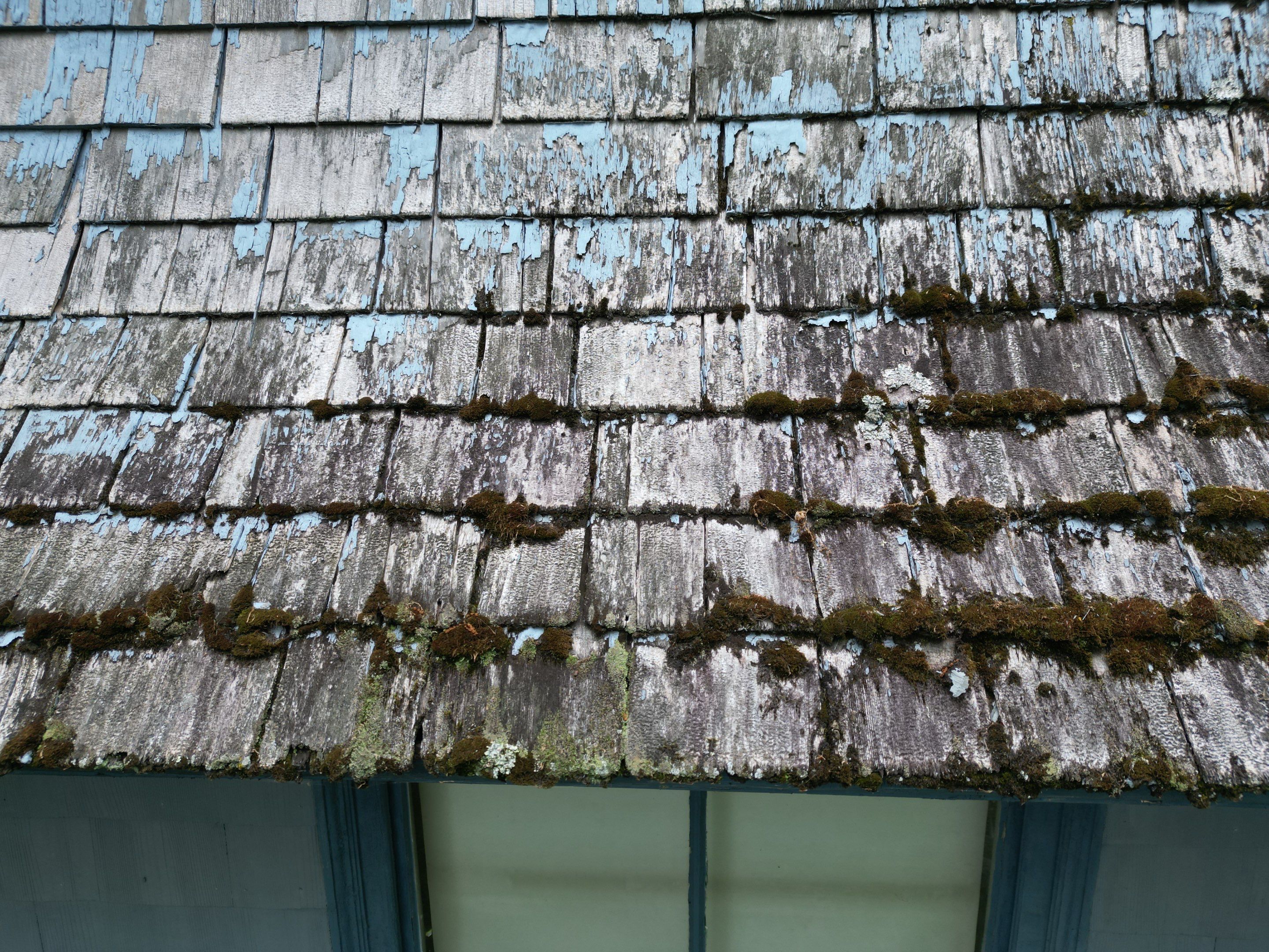 Transformation with CertainTeed Cedar Siding | Methuen by Mighty Dog Roofing of Greater Middlesex County
