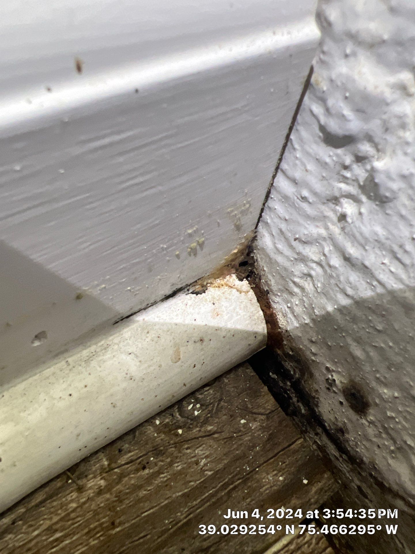 Basement Mold Remediation by Healthy Home Solutions