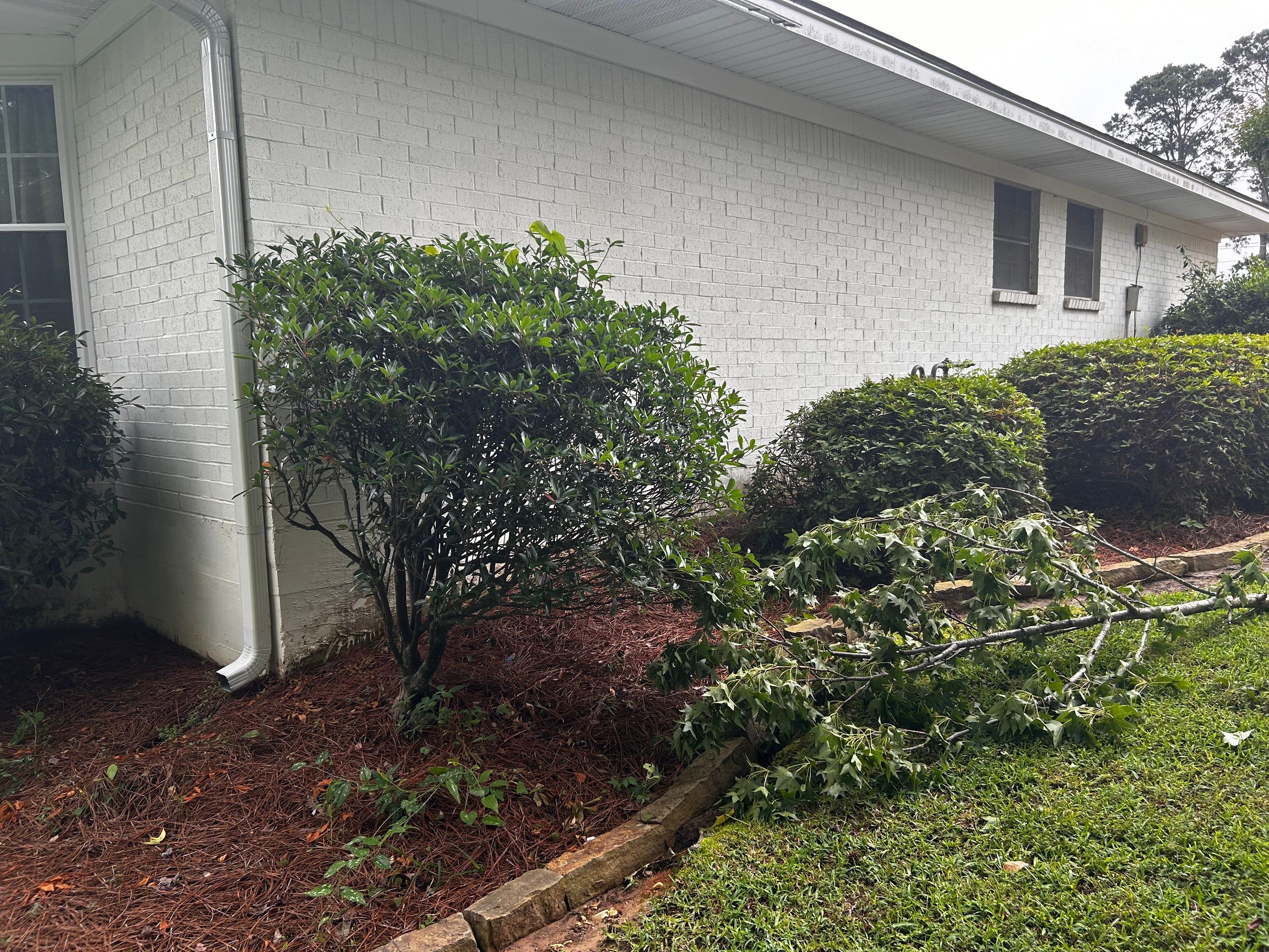 Total House and Yard Clean Up by College Bros Outdoor services