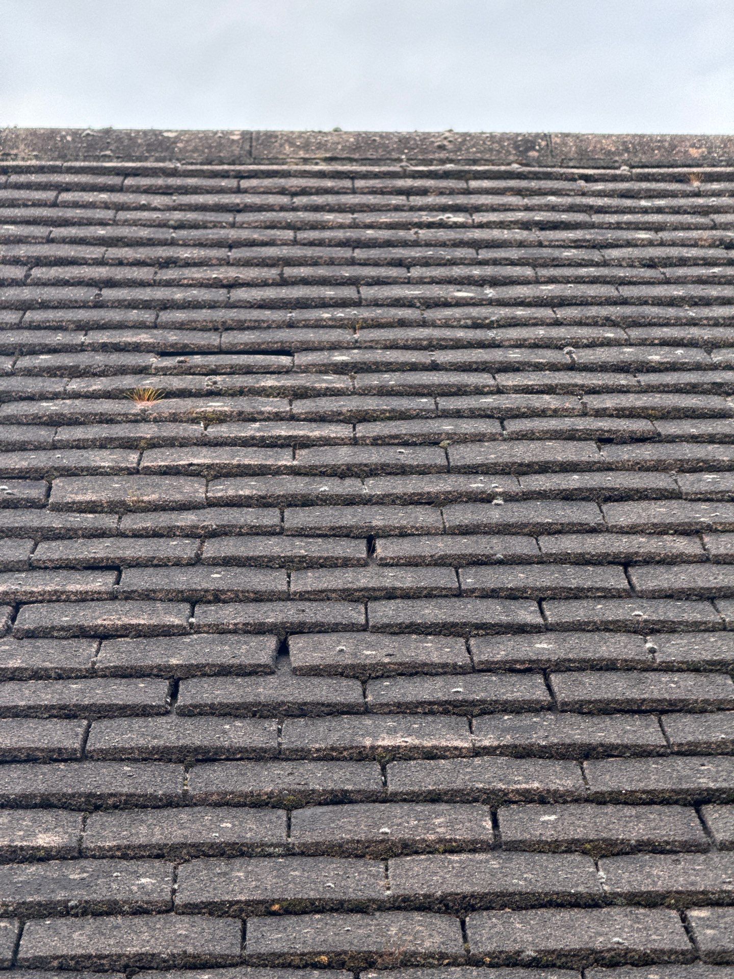 Exterior Clean - Roof - Patio - Driveway using honda 21 ltr/min by Ges Exterior Cleaning ltd