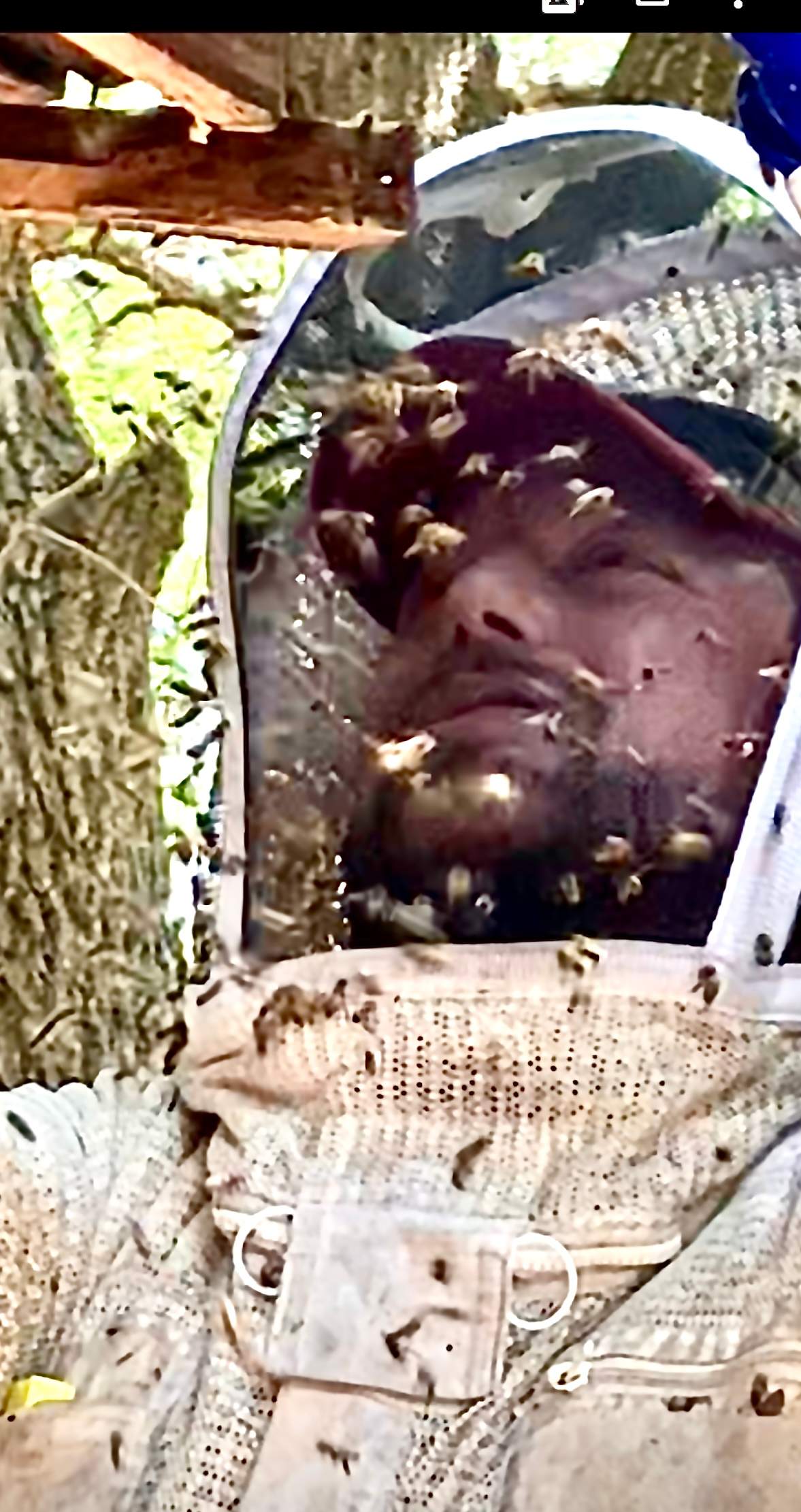 Abandoned Home by Rockwall Honey Bee Company