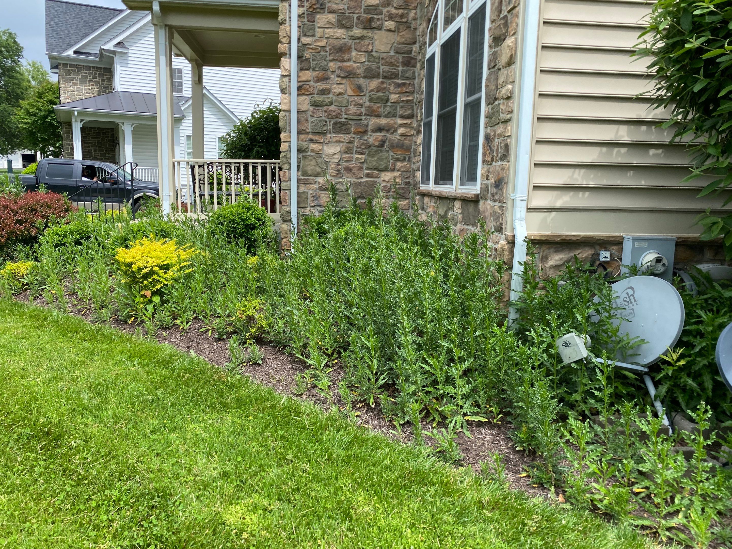 Landscape Cleanup & Mulch  by The Smet Companies, LLC