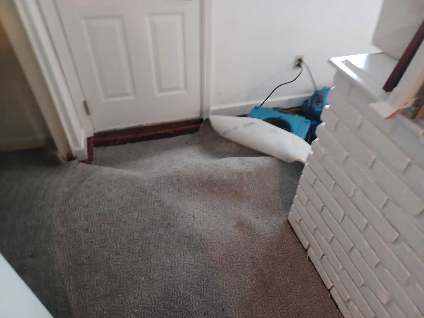 Project in Royal Oak by EzDry Water Mitigation & Property Restoration