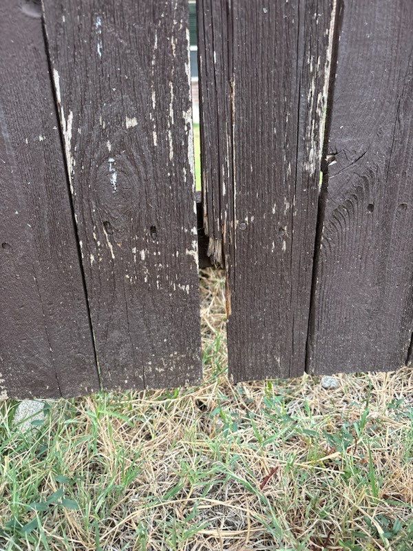 Project in Prosper by NIMBUS GENERAL CONTRACTORS, LLC