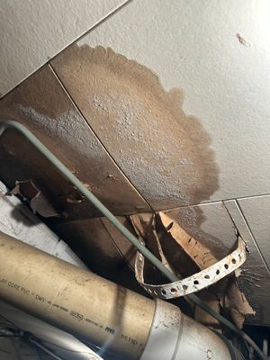 Project by BlueRed Restoration