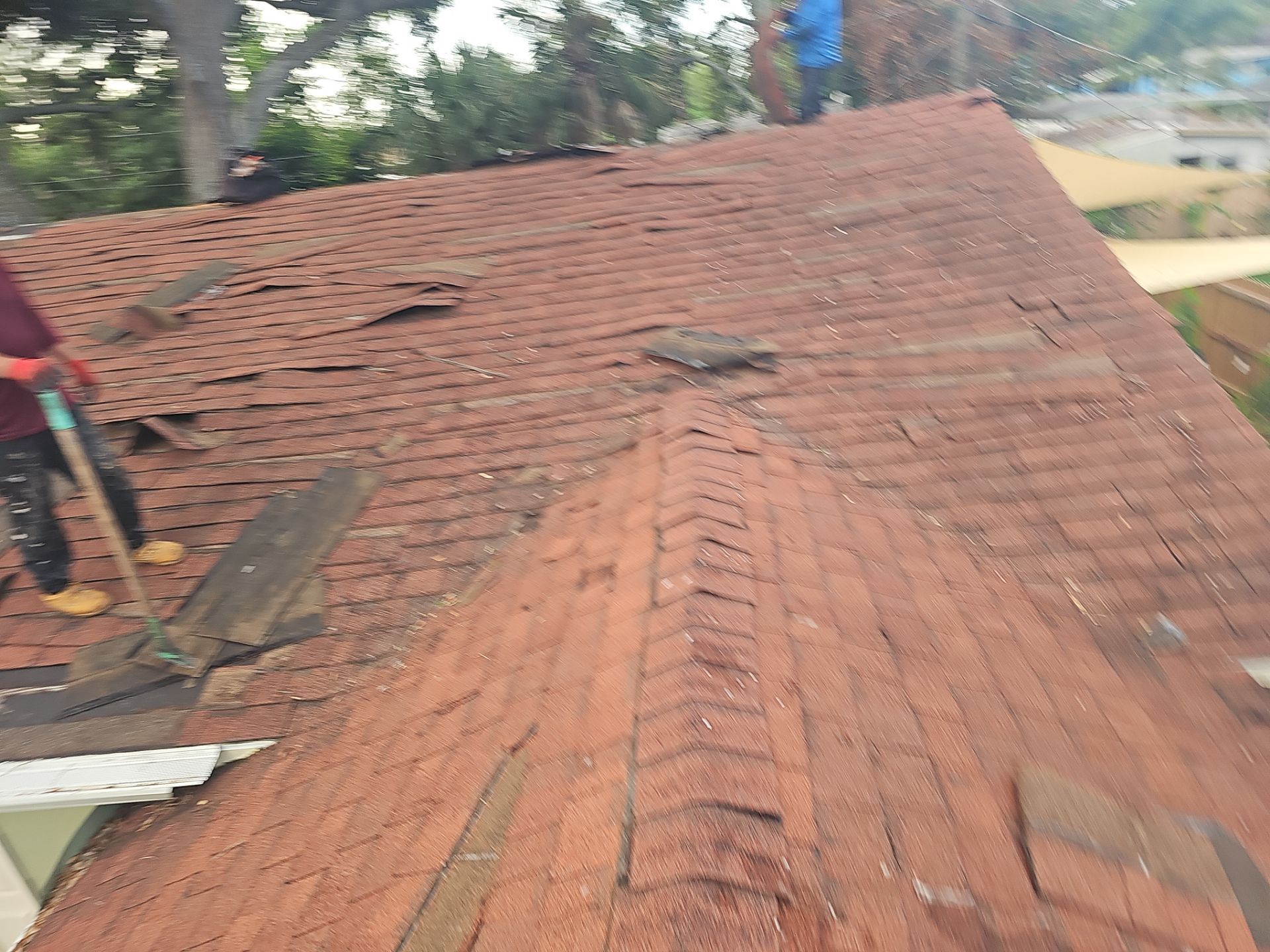 Project in St. Petersburg 33776 by Mitchell Roofing Company LLC 