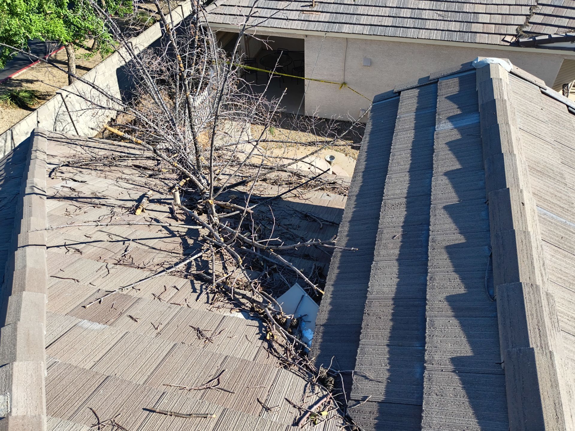 Monsoons storm blew tree down in Mesa, AZ by APM Builders LLC