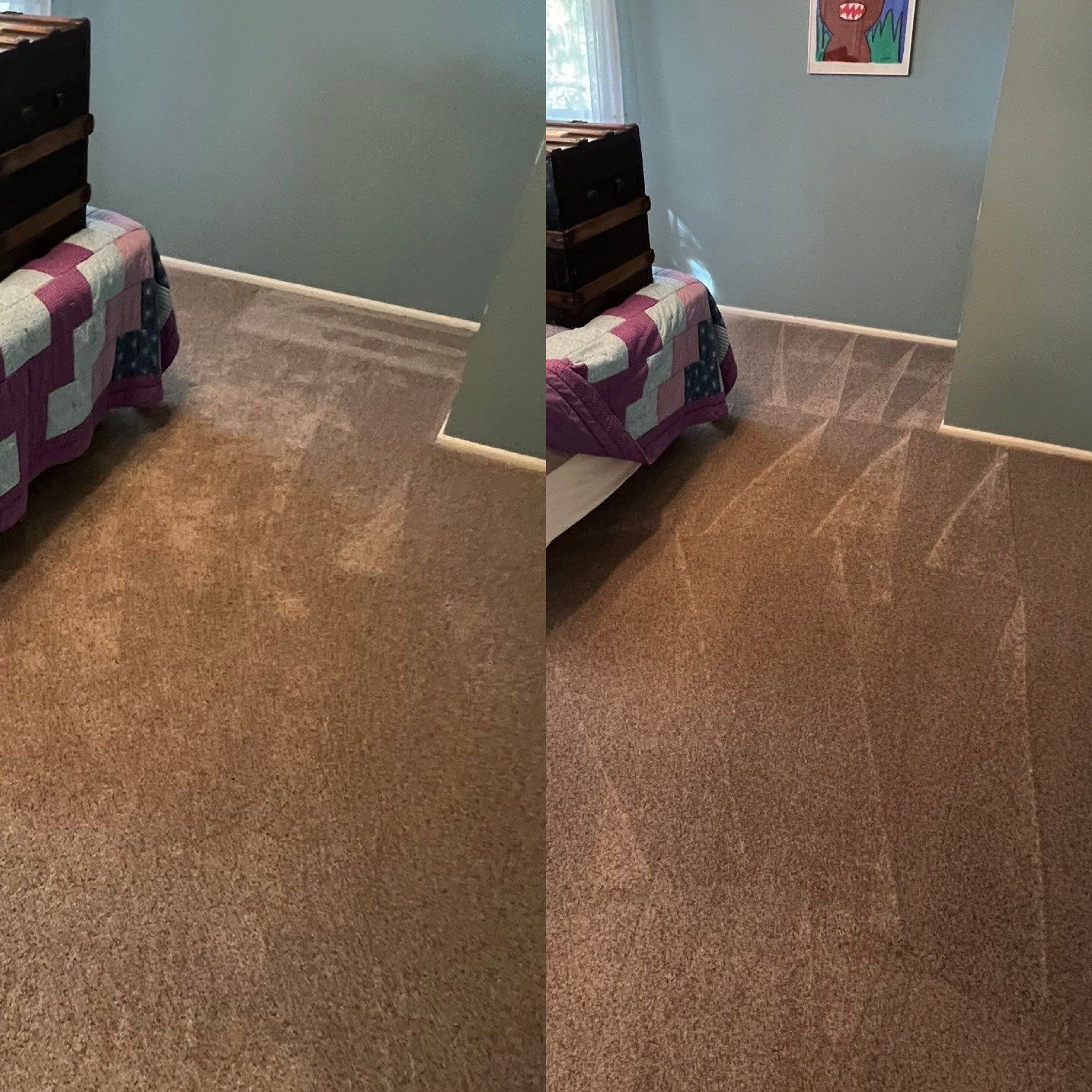 the service being done is carpet cleaning removing stains and dirt from the carpet to restore its appearance