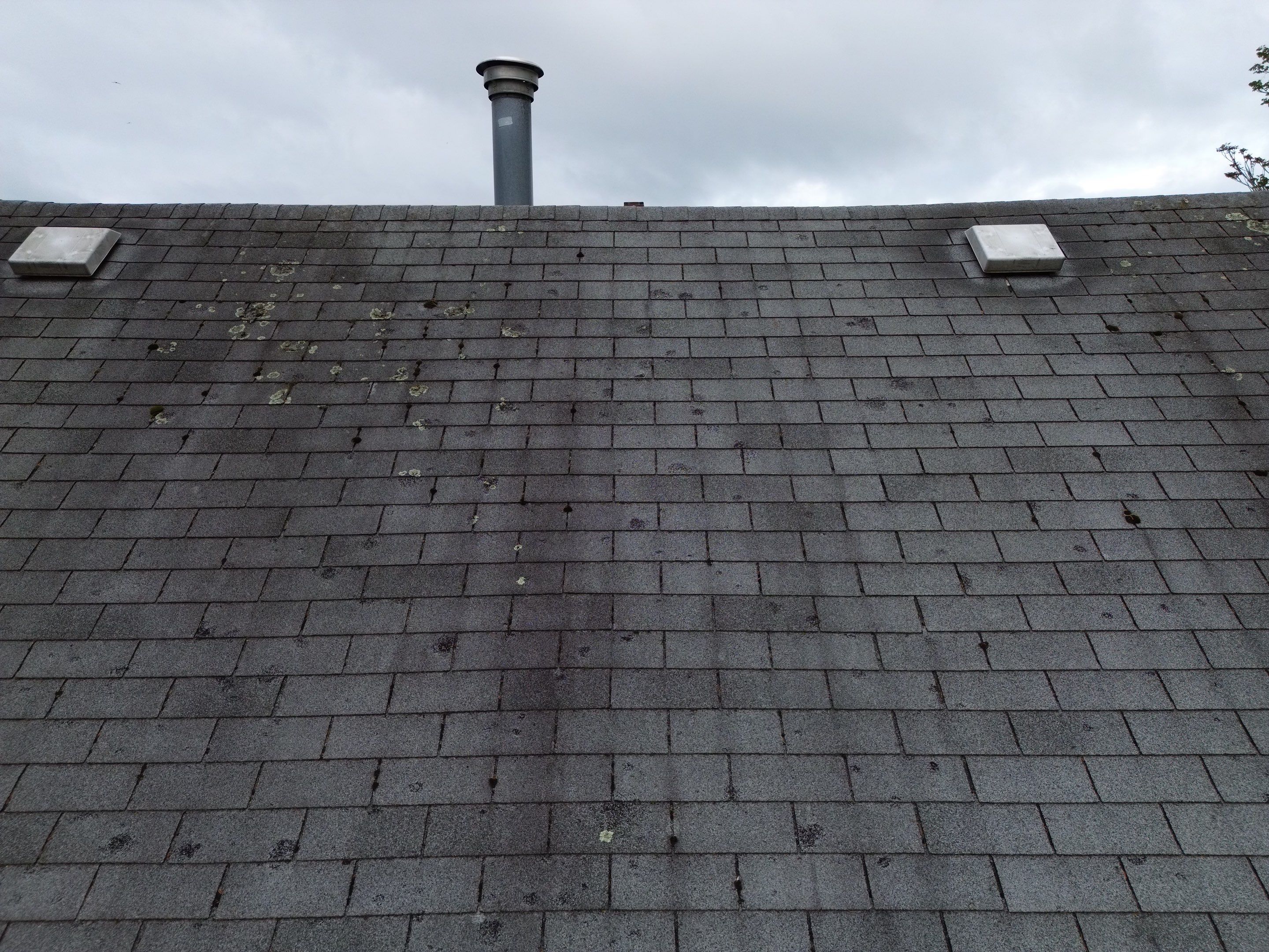 Roof Replacement & Fascia Upgrade Methuen, MA by Mighty Dog Roofing of Greater Middlesex County
