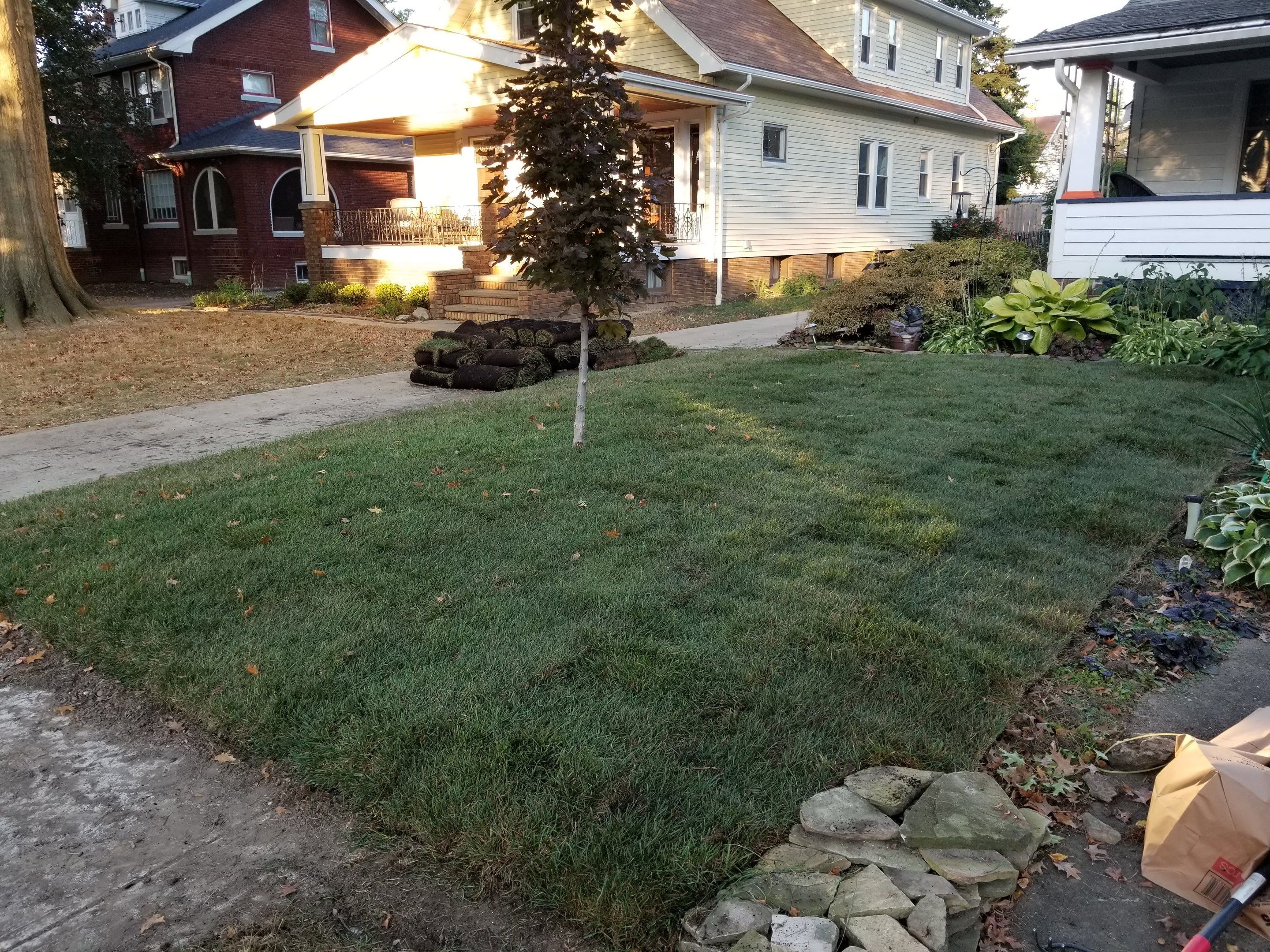 Woodland Island Project by Elm Rose Gardens