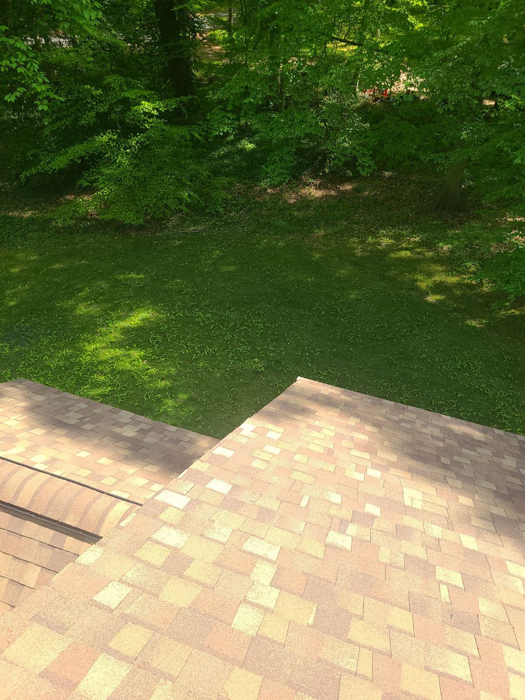 Annandale: Multi-Trade Tree Damage Restoration by RM Banning, Inc.