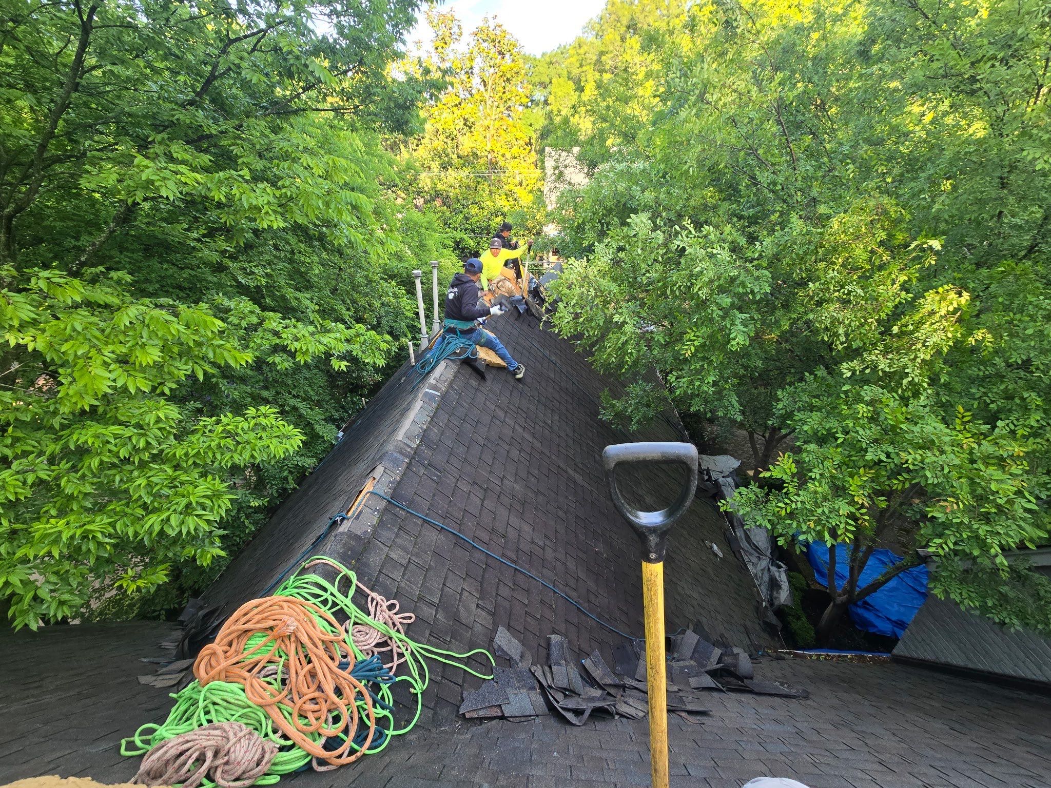GAF Timberline HDZ Roof Replacement and Exterior Wood Repairs in Memphis by Revival Roofing Services