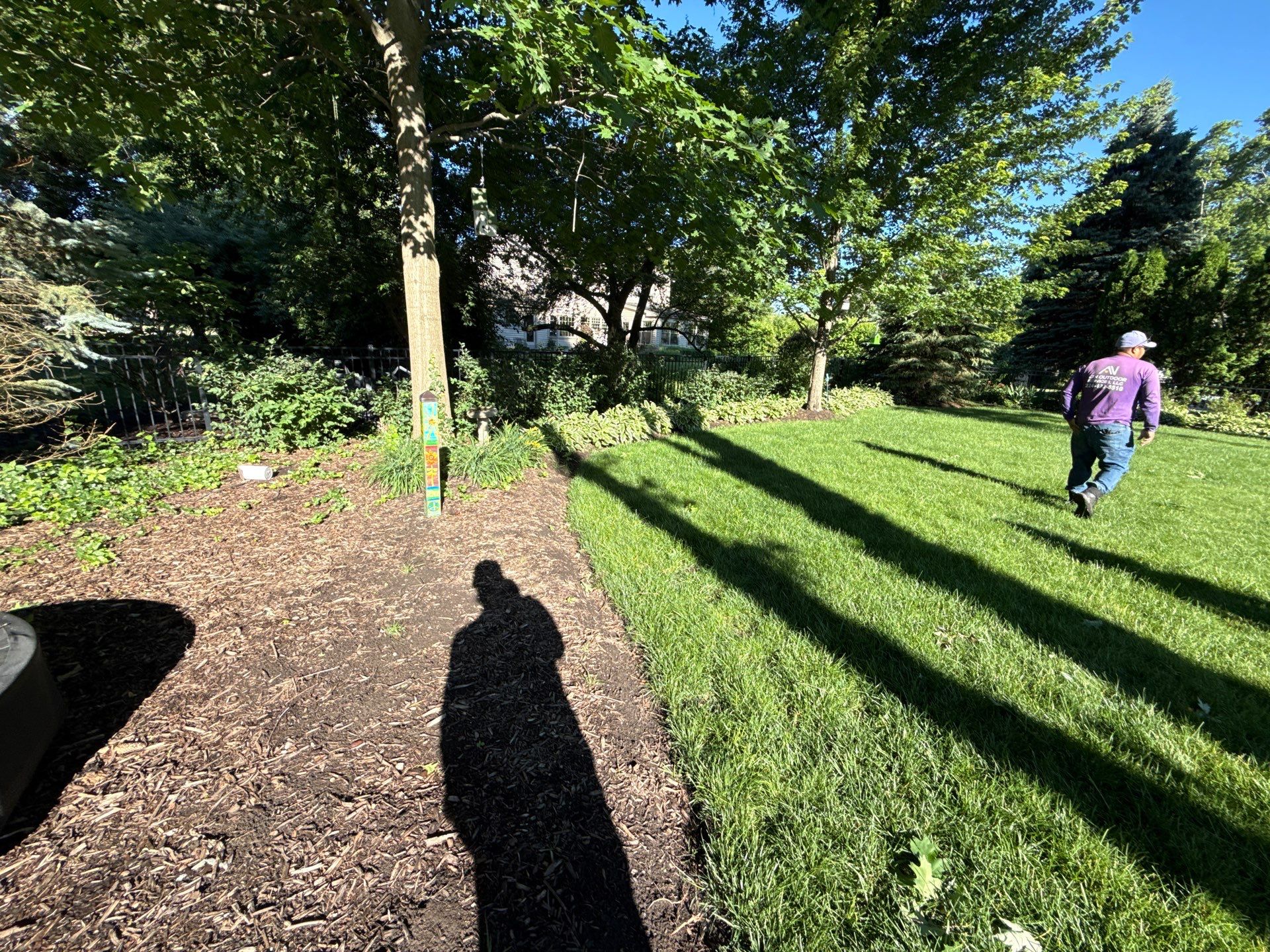 Lesley D. - Arlington Heights, IL by A&N 