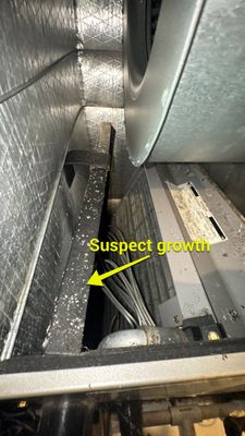Air Duct Cleaning in Groveland