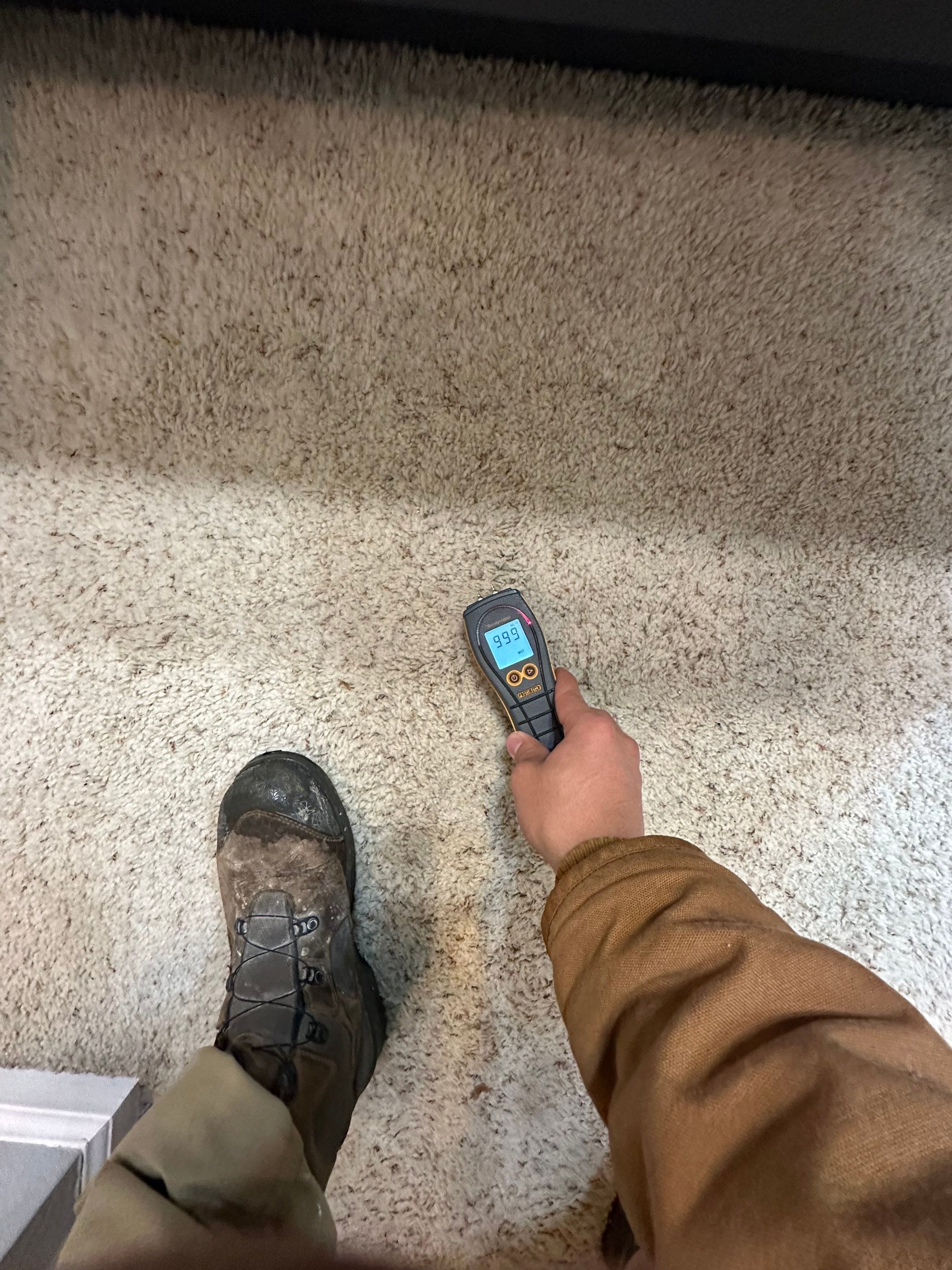 Water Damage in Highlands Ranch by Alpha Restoration 
