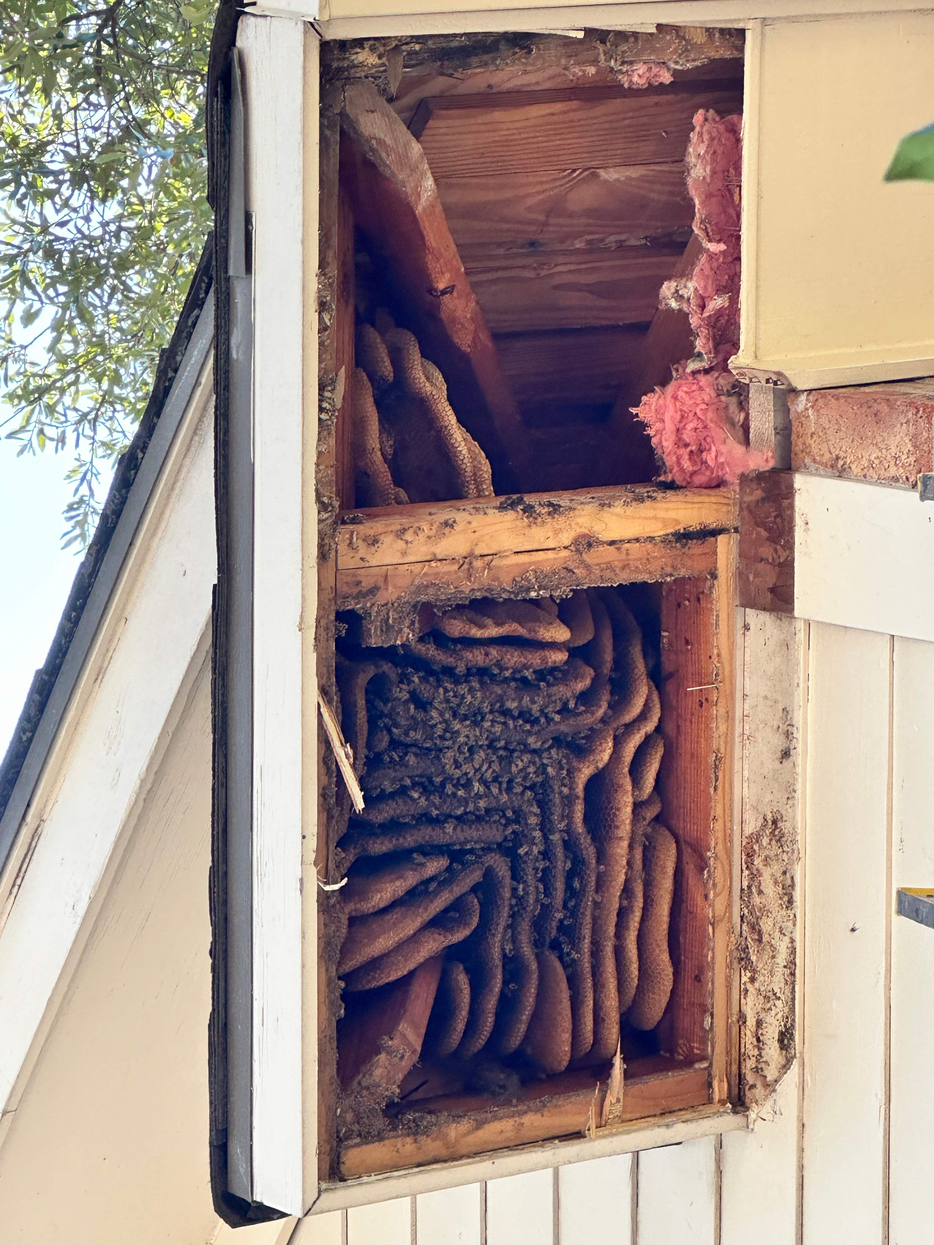 Last of 2025 by Rockwall Honey Bee Company