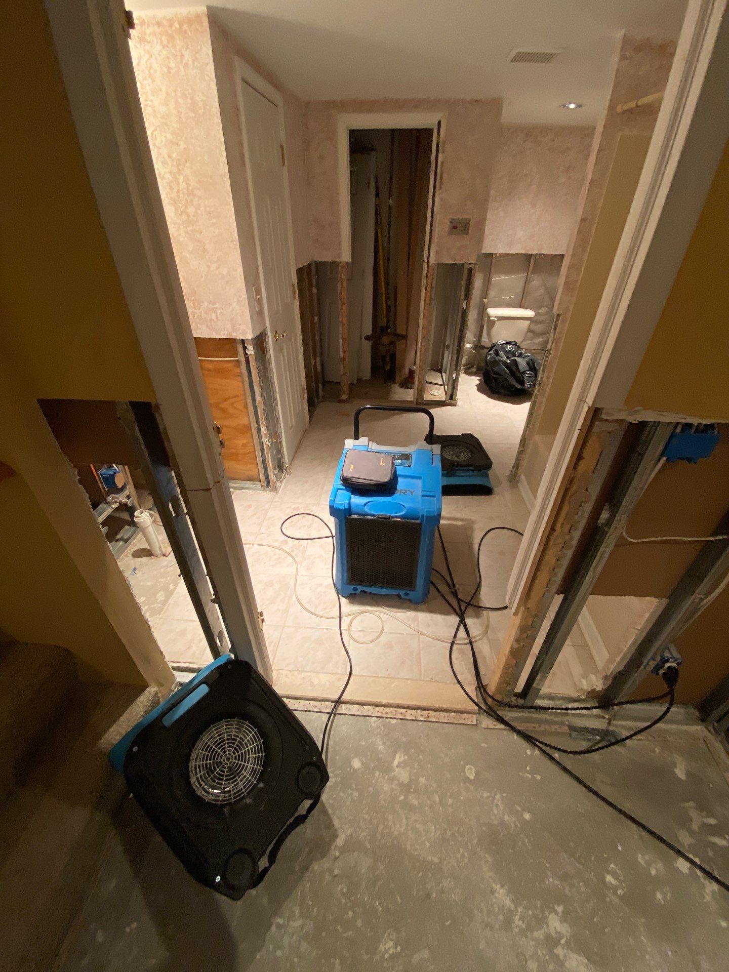 Project in Novi by EzDry Water Mitigation & Property Restoration