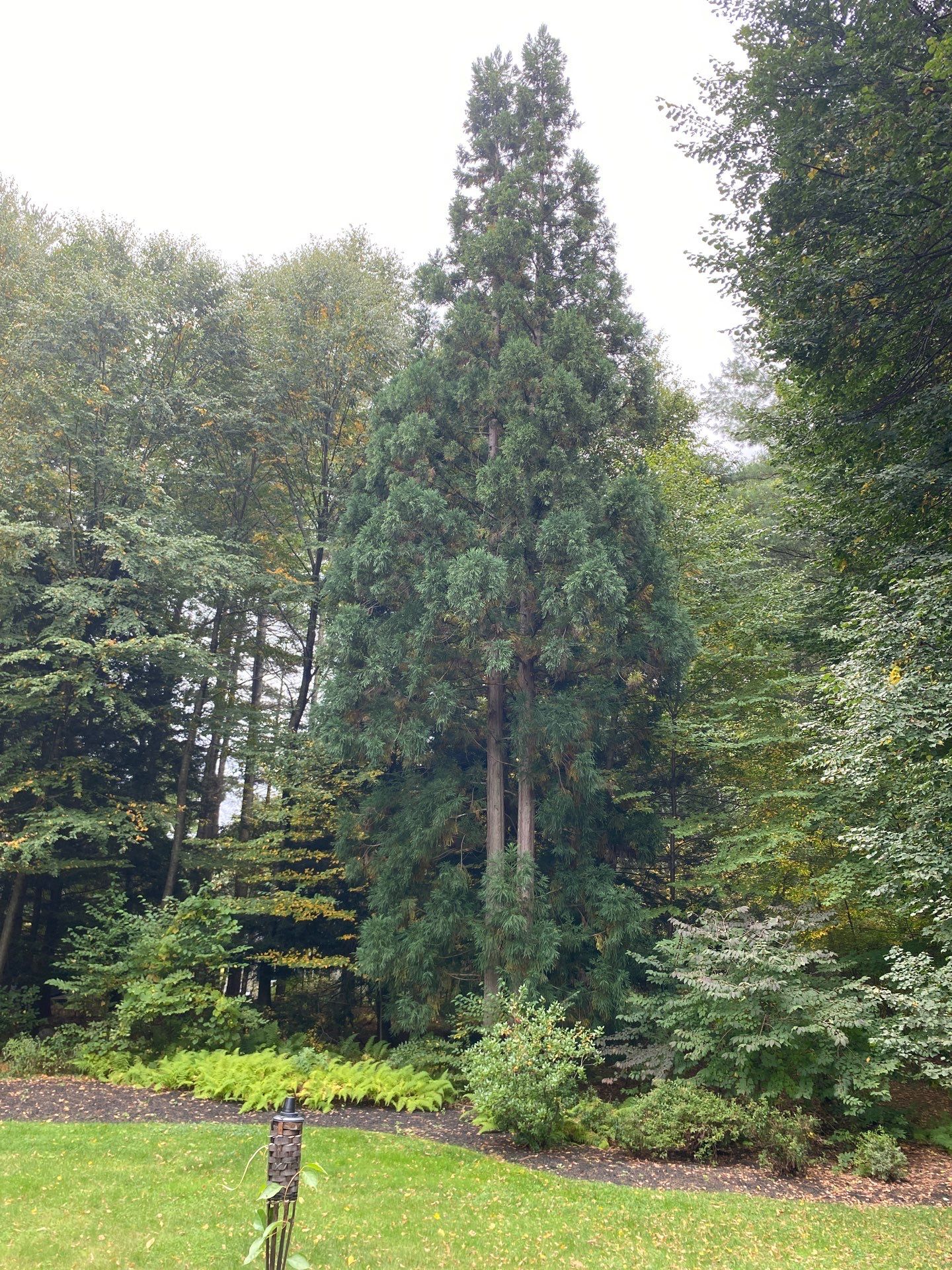 Roof and Gutter Replacement with Platinum Warranty – Carlisle, MA by Mighty Dog Roofing of Greater Middlesex County