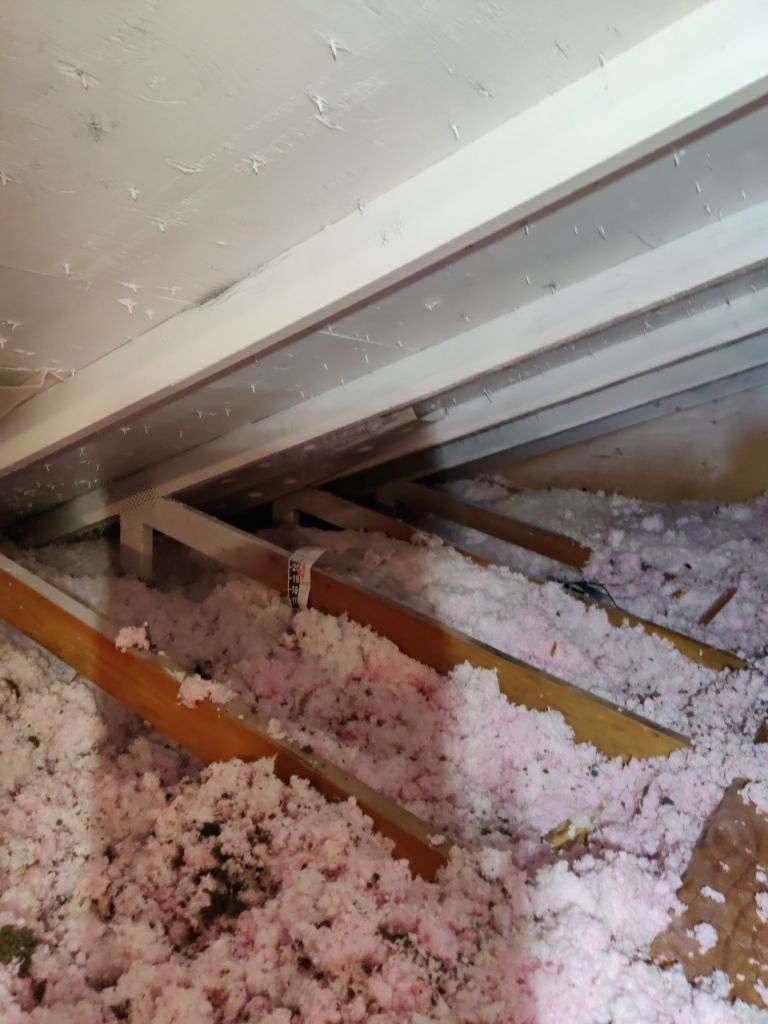 Mold Remediation in Attic by Accountable Home Services