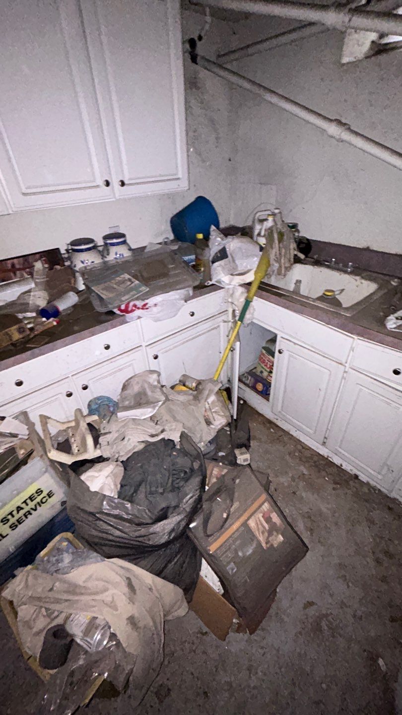 Mold Remediation by Accountable Home Services