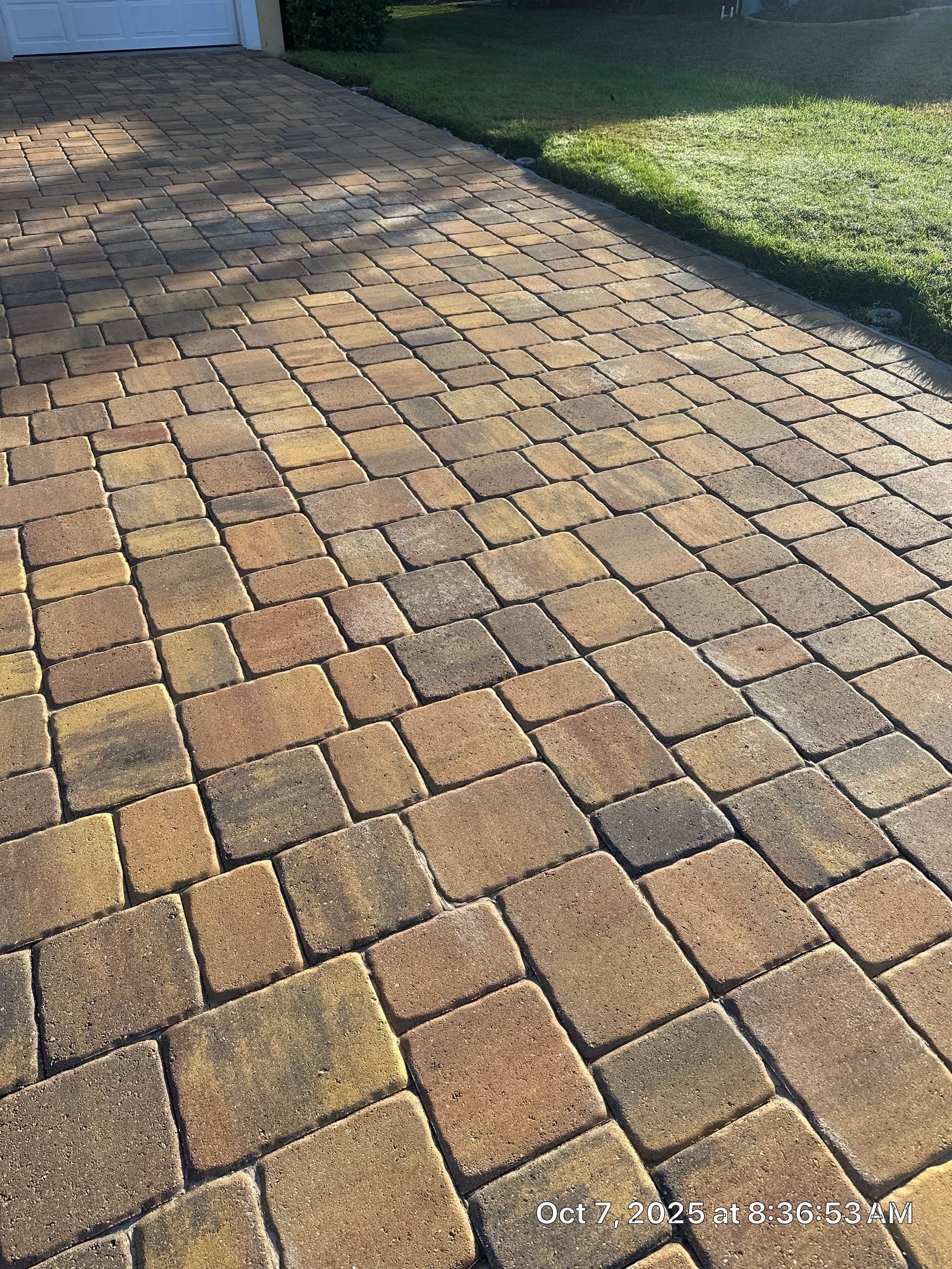 Driveway and Pool Deck Paver Restoration in Apollo Beach by Supreme Paver Experts