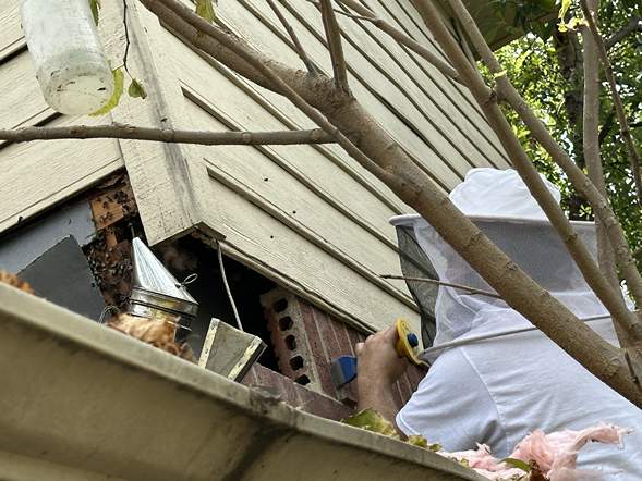 Between Floors by Rockwall Honey Bee Company