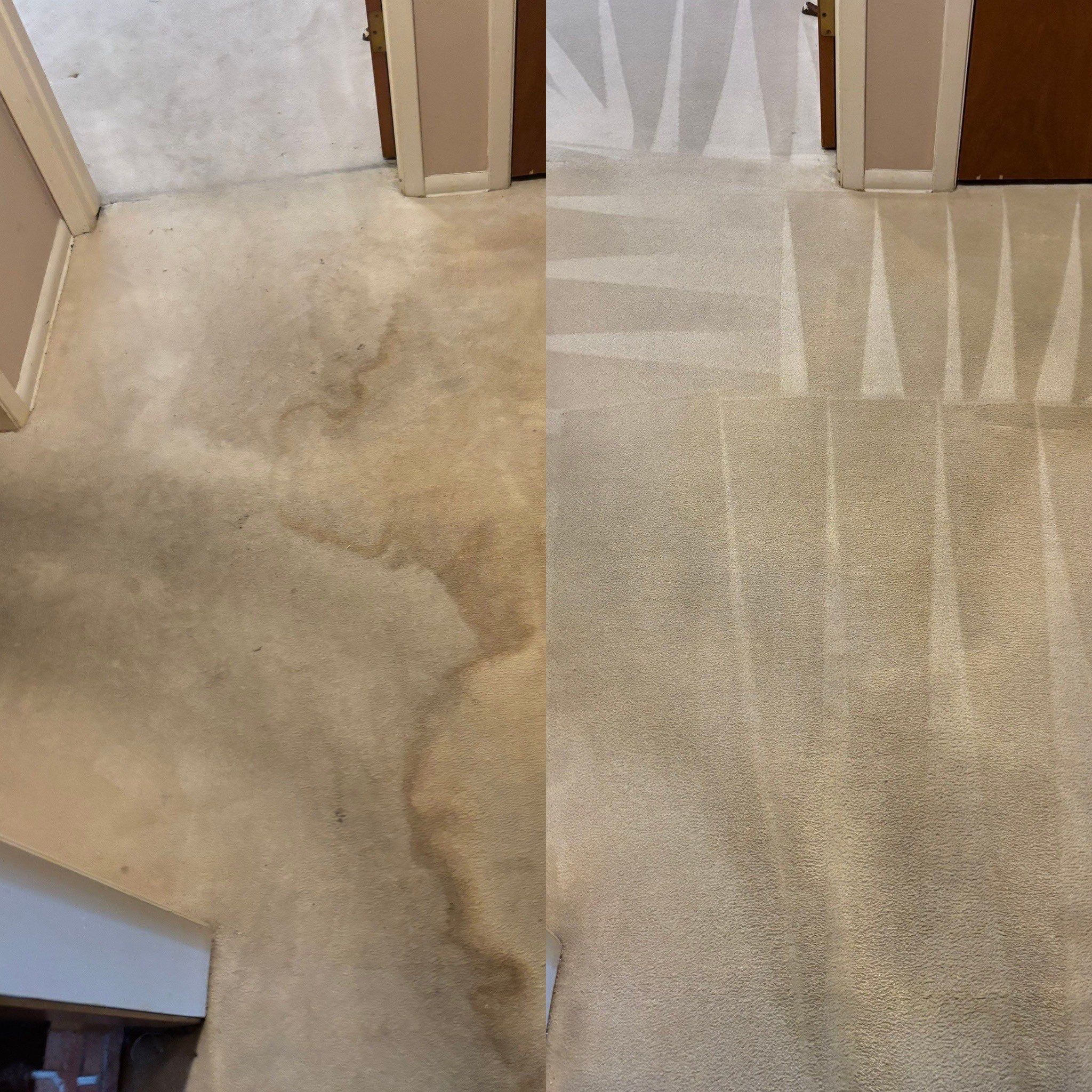 the service shown is deep cleaning of carpet removing stains and refreshing the surface to restore its original appearance