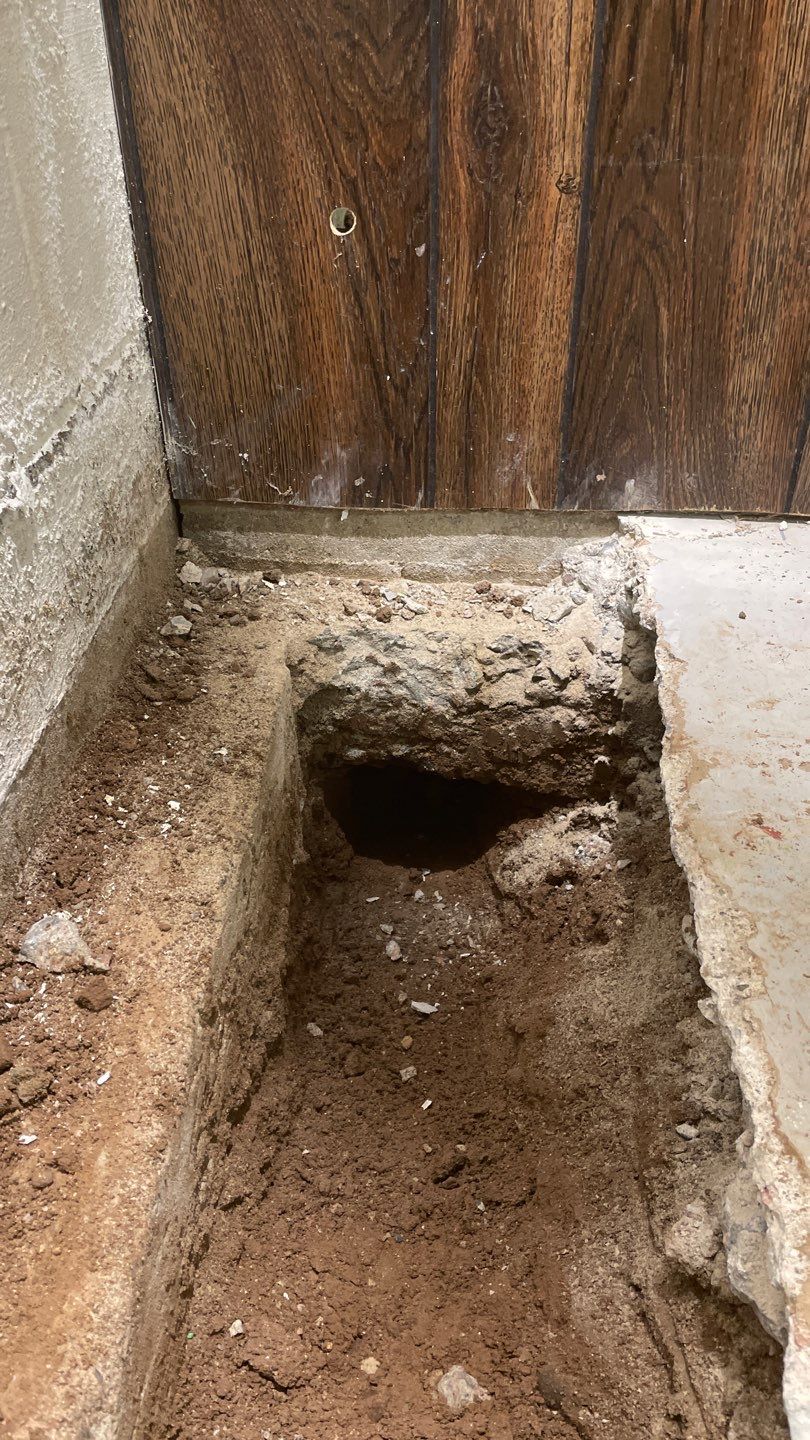 Helping Our Neighbor Gail by Waterproofing Northeast