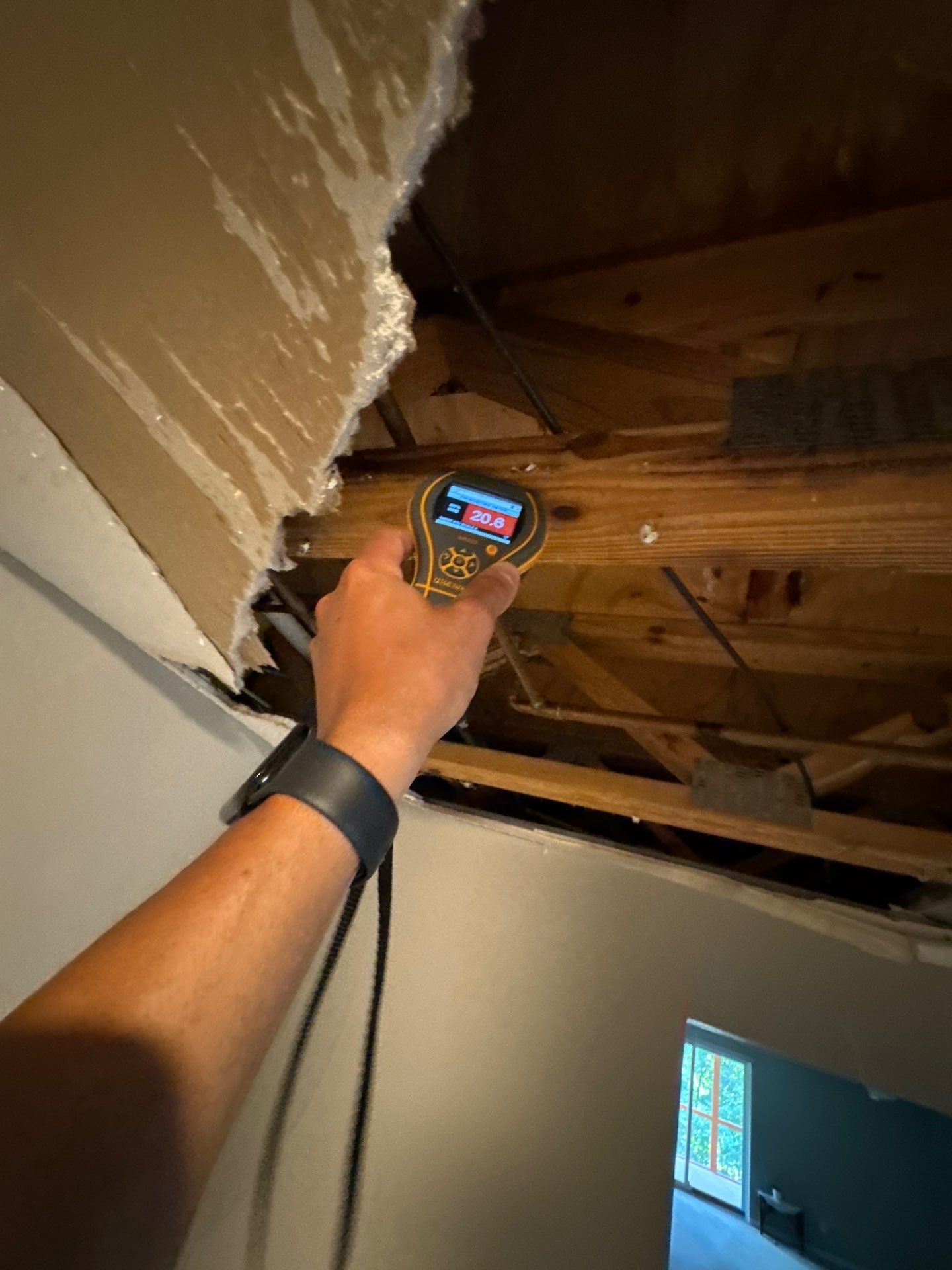 Project in Novi by EzDry Water Mitigation & Property Restoration