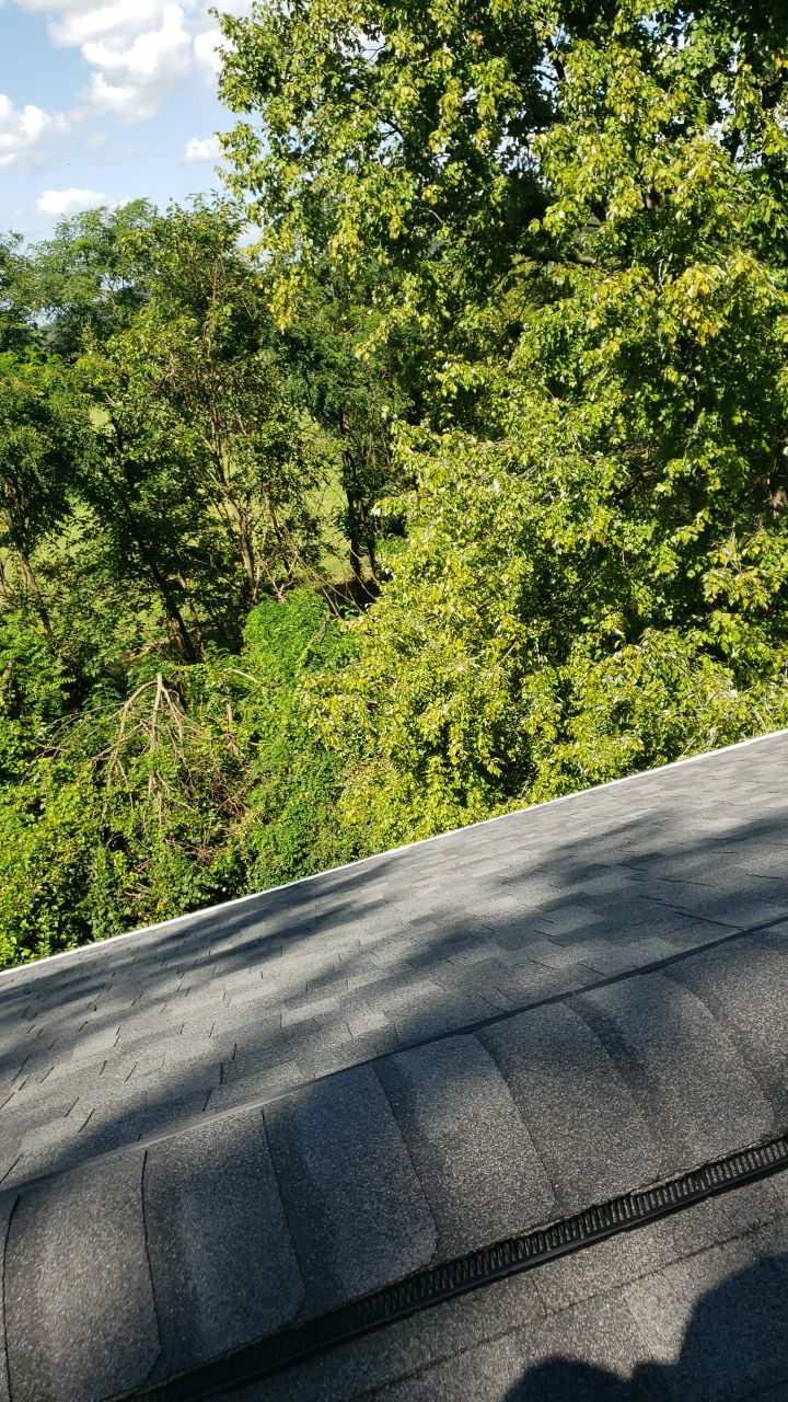 Marshall Roofing Project - Landmark Pro Max Def Pewterwood Designer Shingles by RM Banning, Inc.