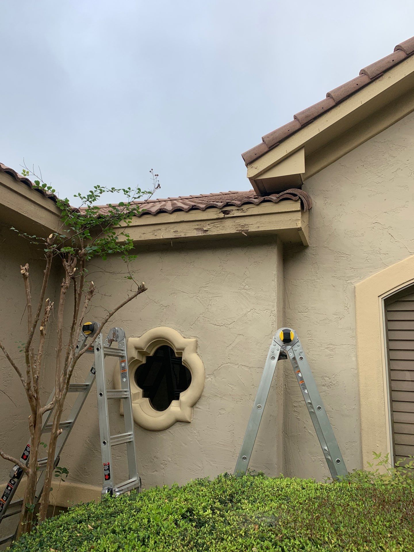 Fascia Carpentry Repair and Paint  by Rox Roofing