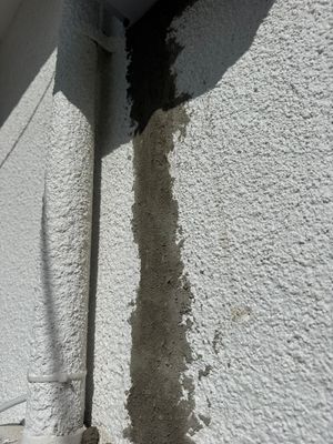 Project in Palmetto Bay