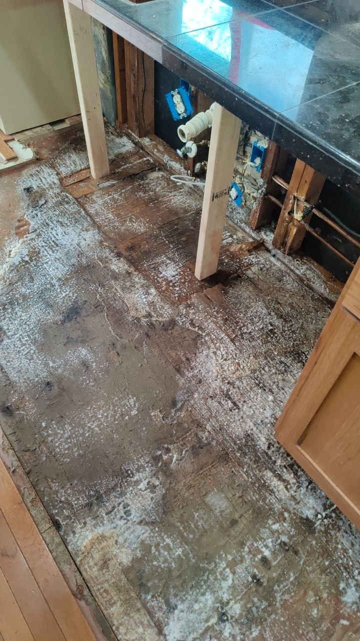 Mold Damage by Accountable Home Services