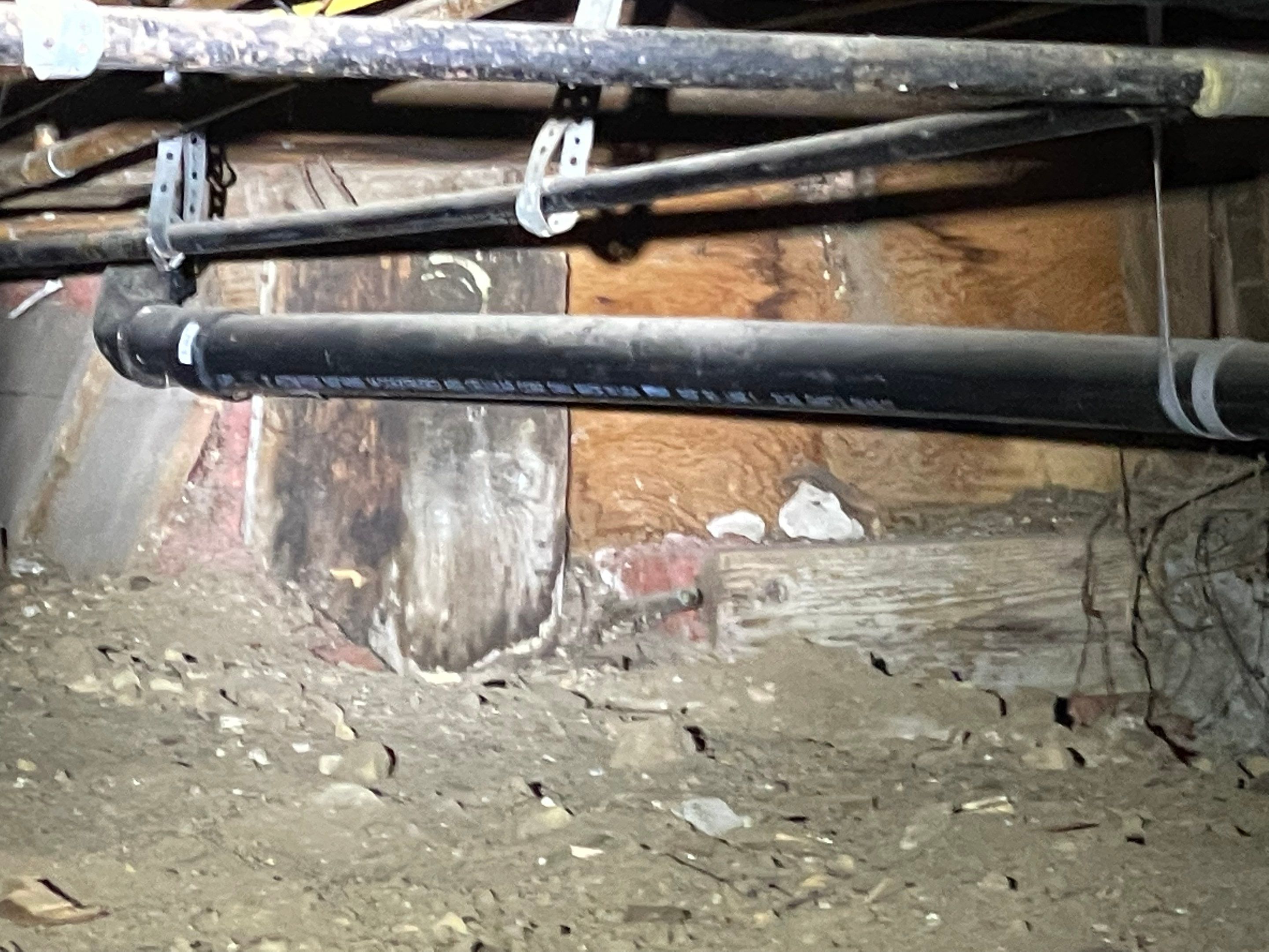Wood Destroying Organisms Report by GLOBAL Termite Solutions