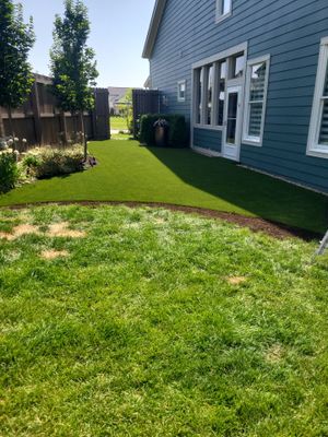 Lewis Center Partial Backyard Pet Turf