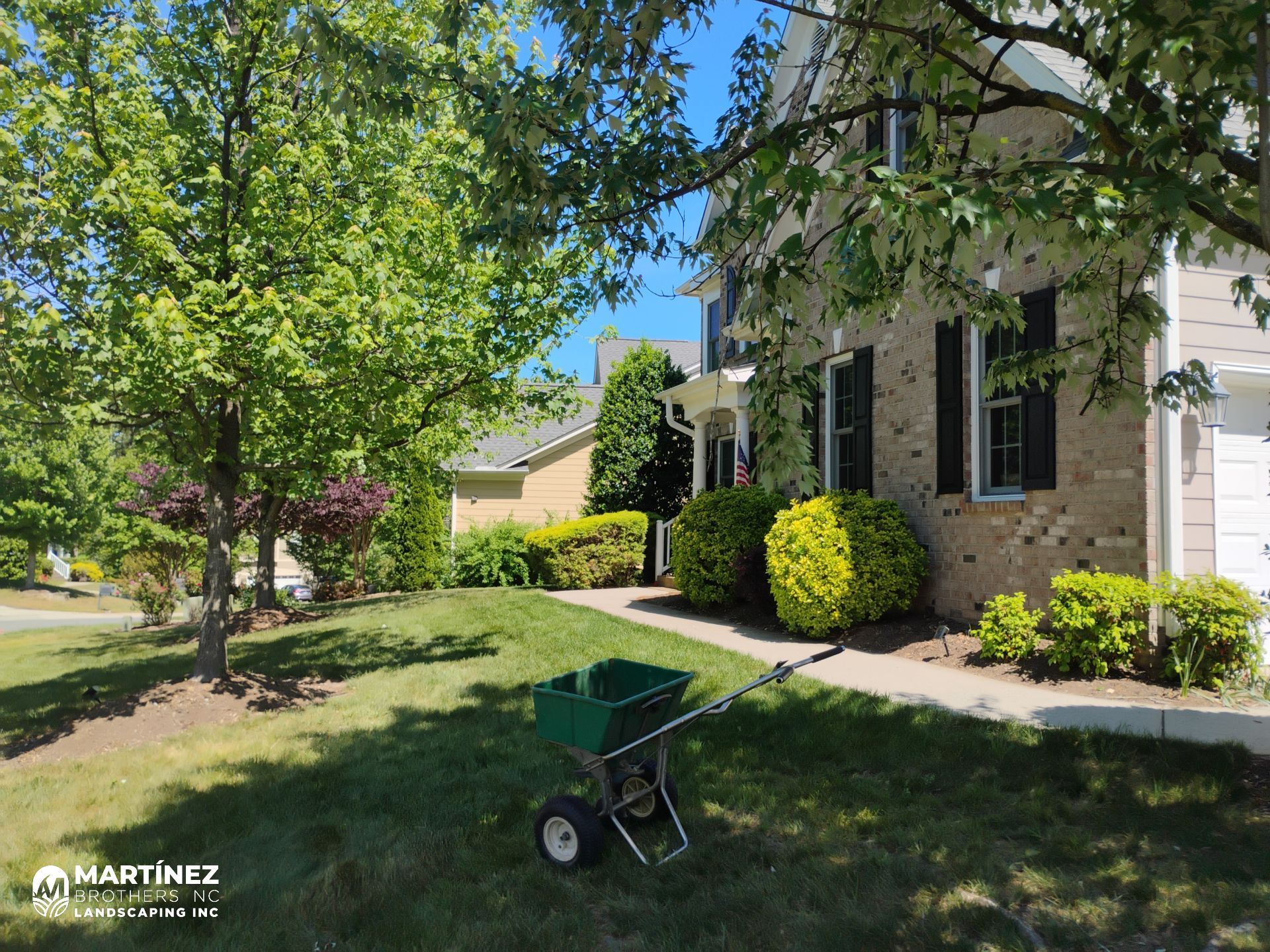 Fixing brown spots in grass in Durham