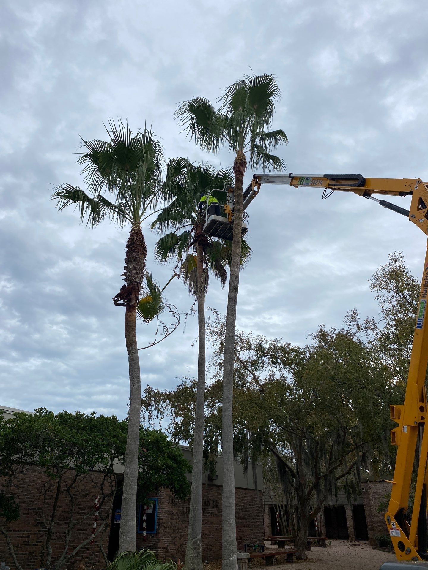 Volunteer Work | Episcopal High School of Jacksonville by ProGreen Services