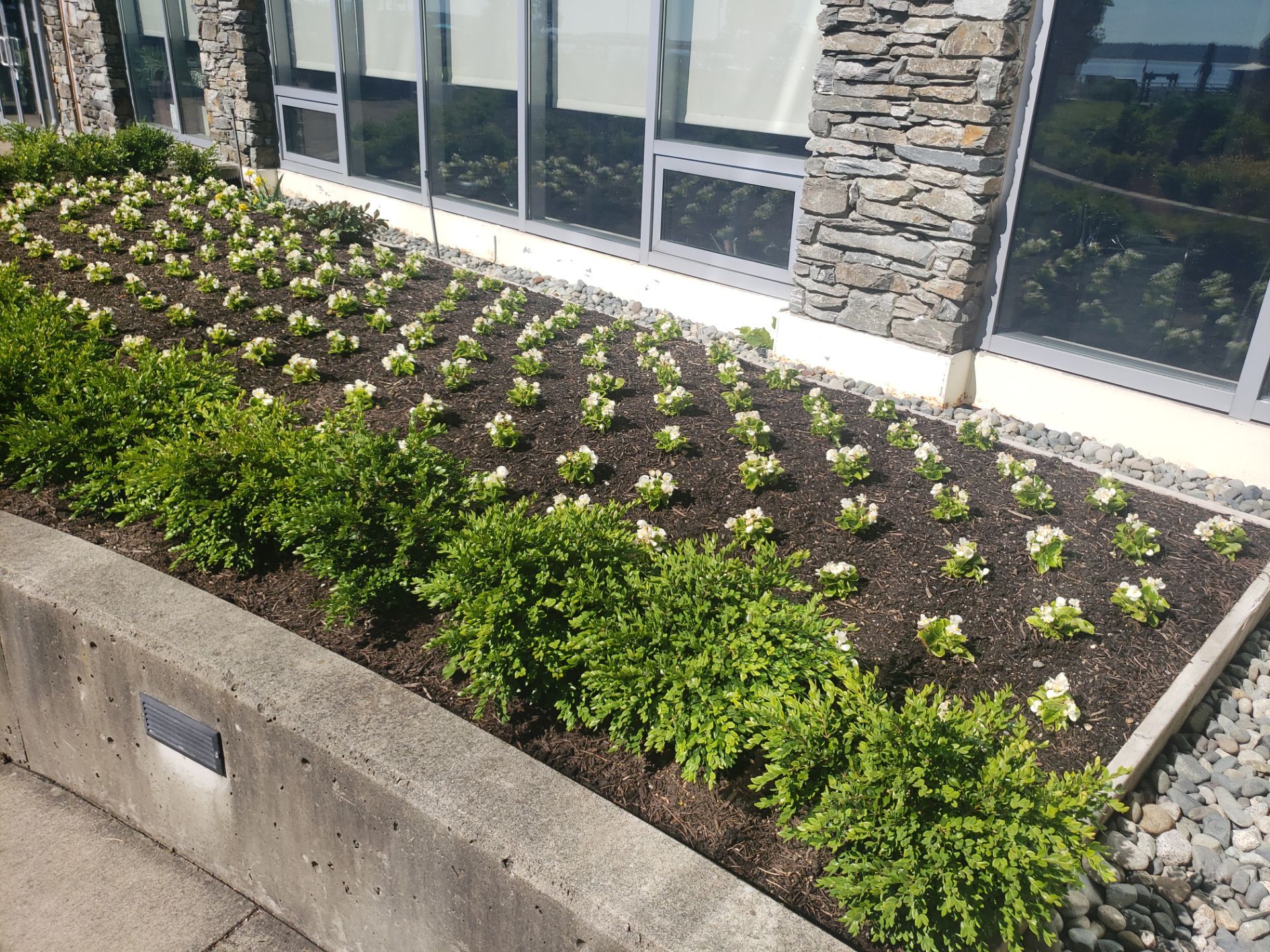 Sidney Pier by Habanero Garden and Exterior Care
