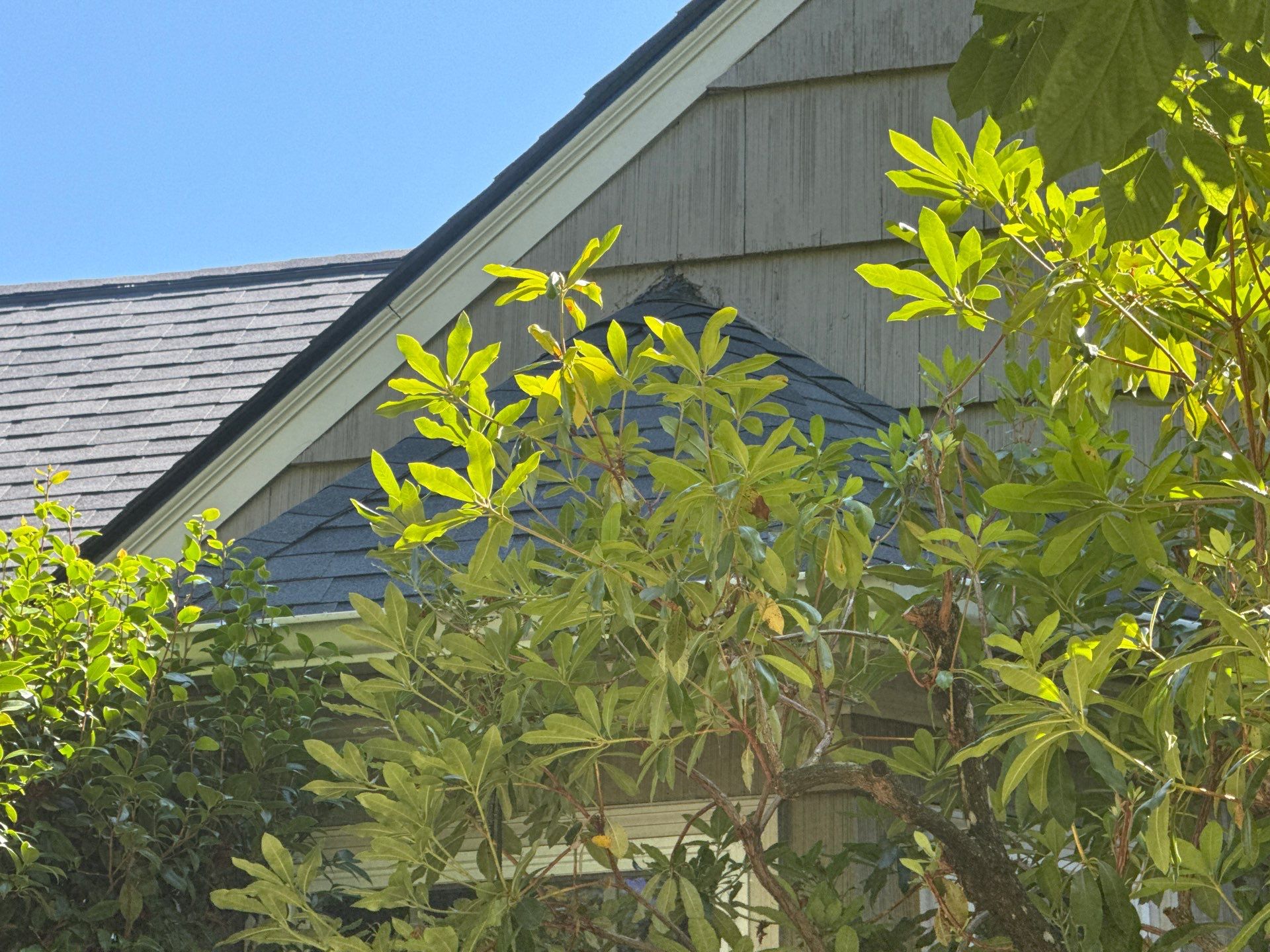 Project in Portland by Tom Leach Roofing