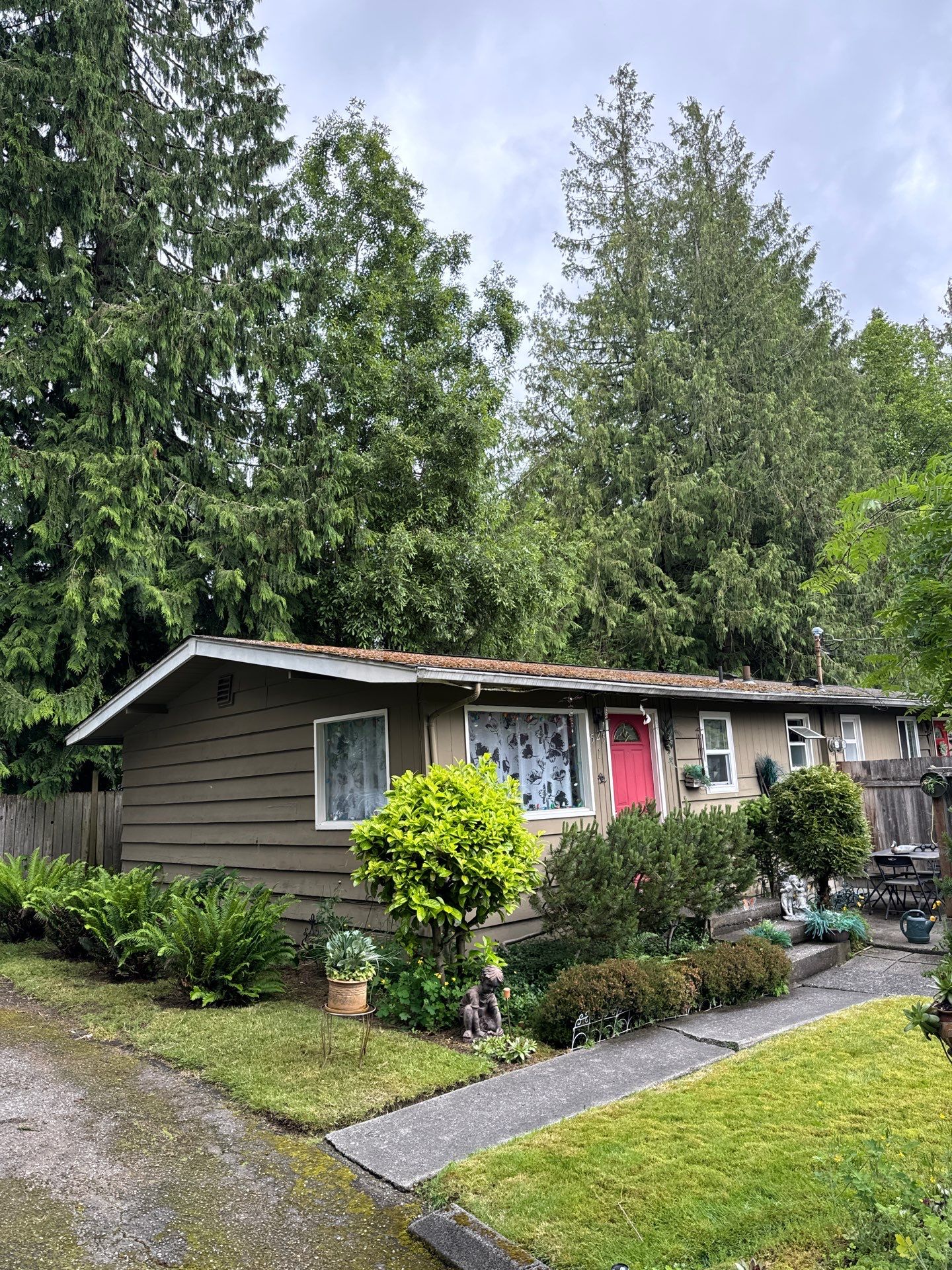 Project in Everett by Peaks and Valleys Construction