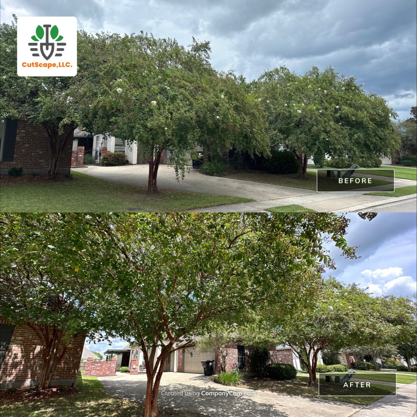 DEMO / PREP / INSTALL / TRIM / MULCH INSTALL by CutScape, LLC.