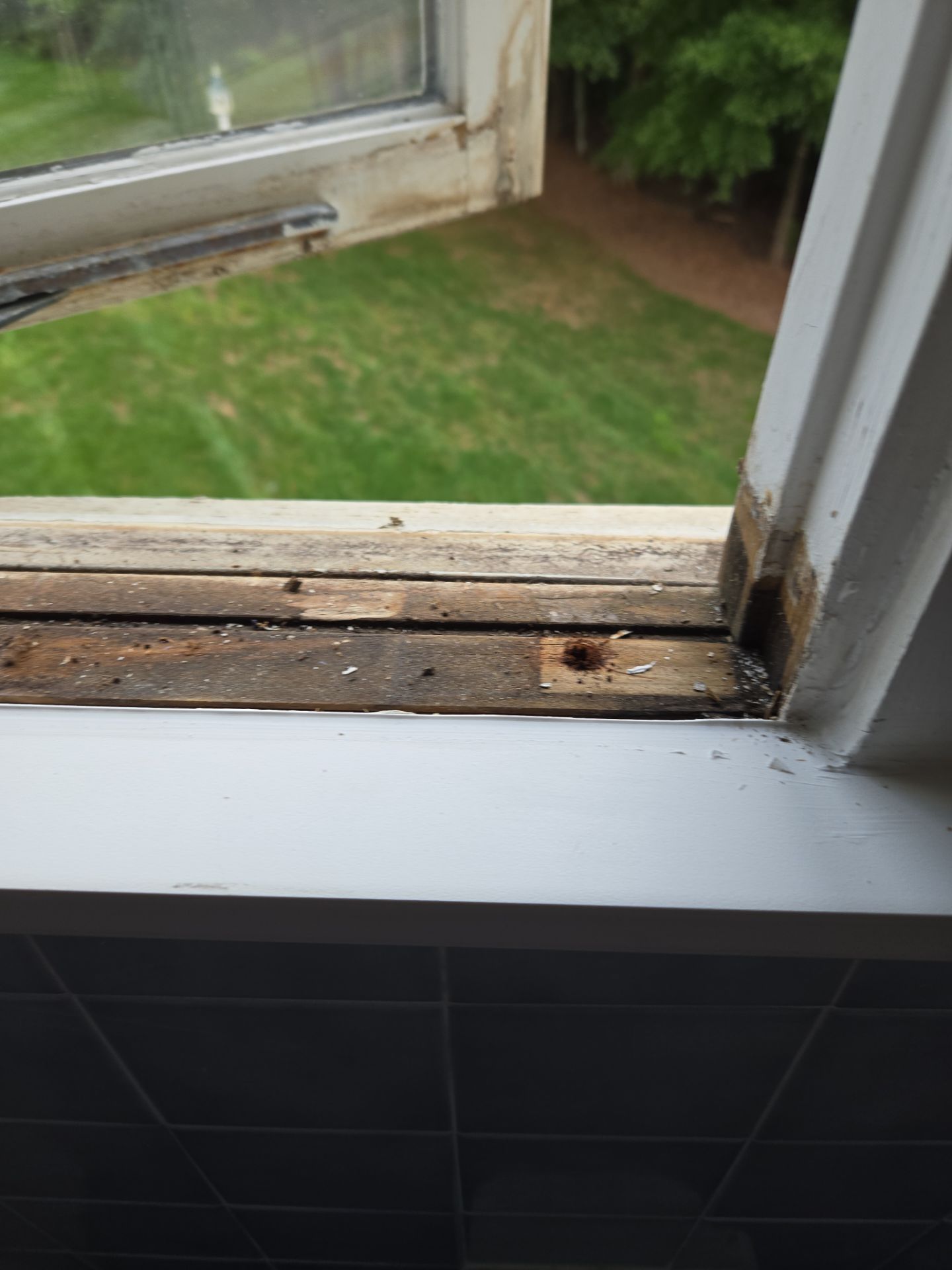 Bathroom Window Rot Repair by A Step Above Handy LLC