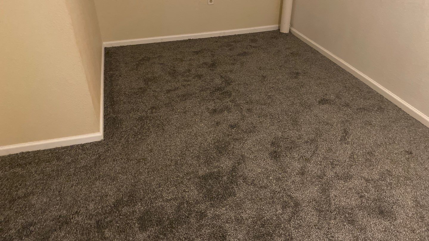 Rebuild Project in Aurora by Accountable Home Services