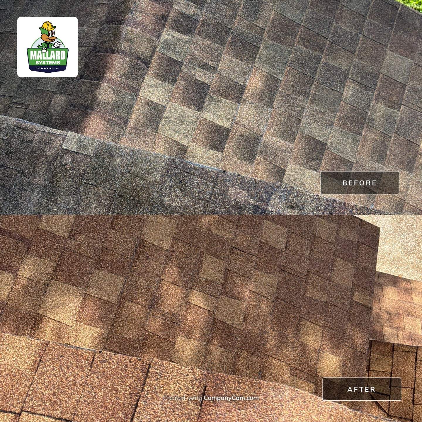 Professional Roof Cleaning in Waterford Lakes by Mallard Systems